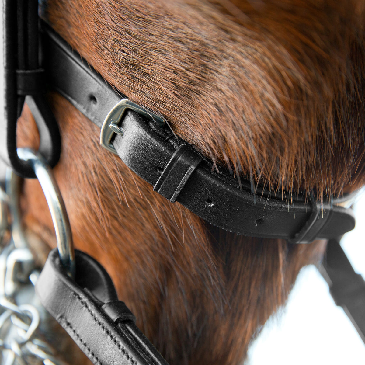 Horze Vienna Anatomic Weymouth Bridle Bridles & Reins