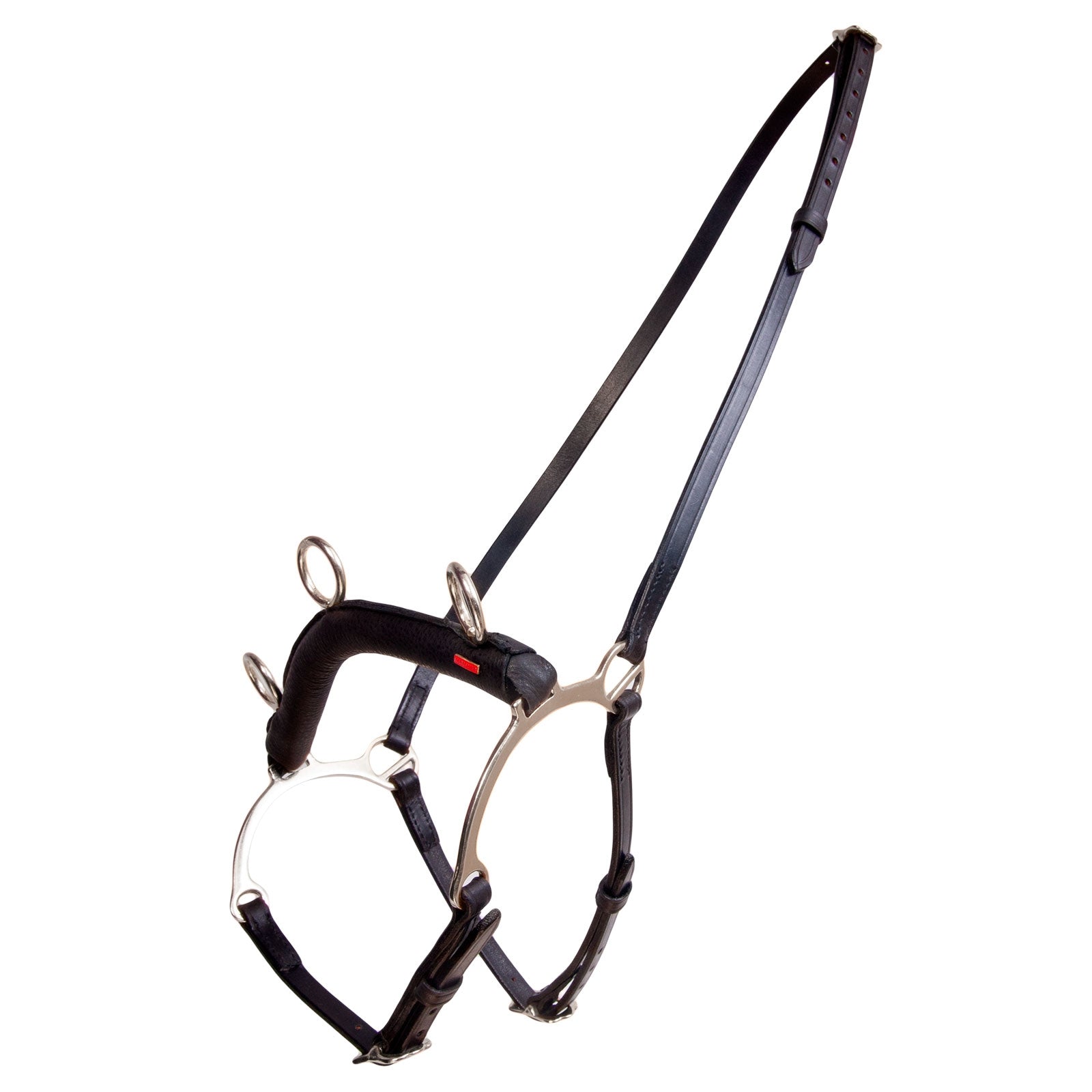 Karlslund Ratsastuskapsoni kankiosa Juoksutus & ohjasajo