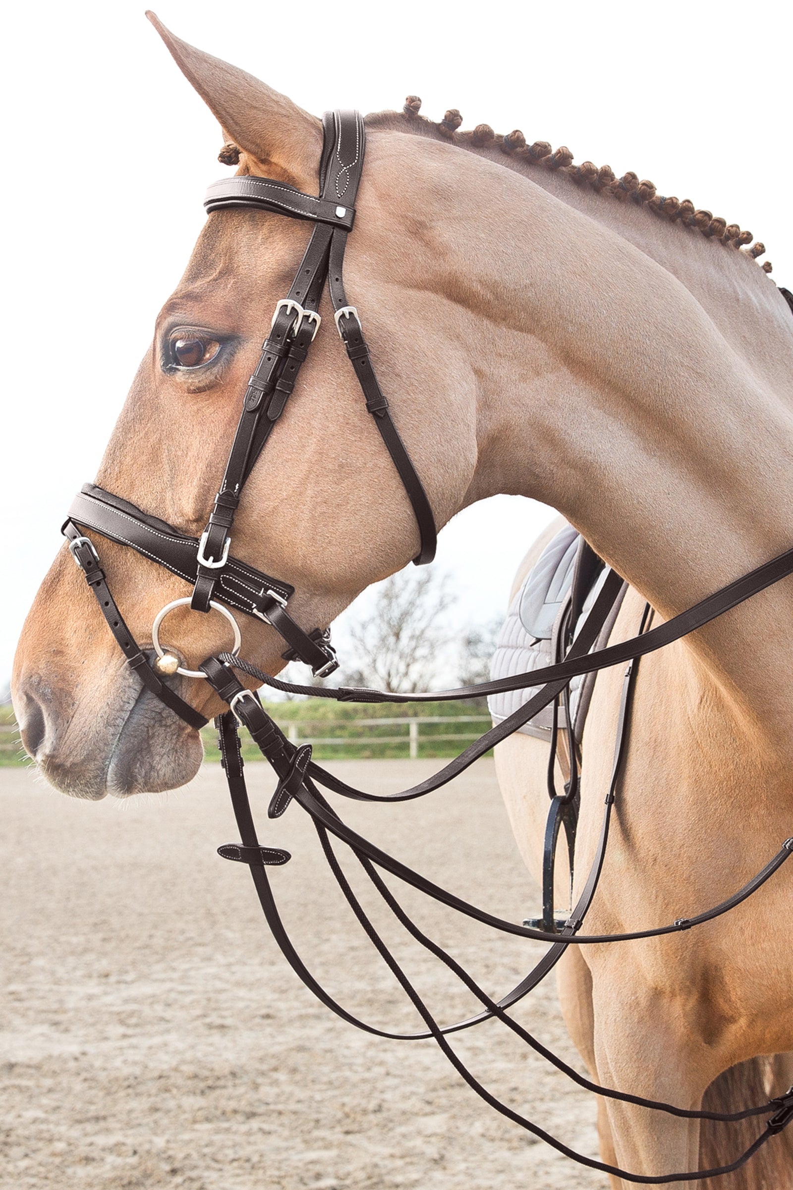 Horze Sparta Nylon/Leather Draw Reins Bridles & Reins