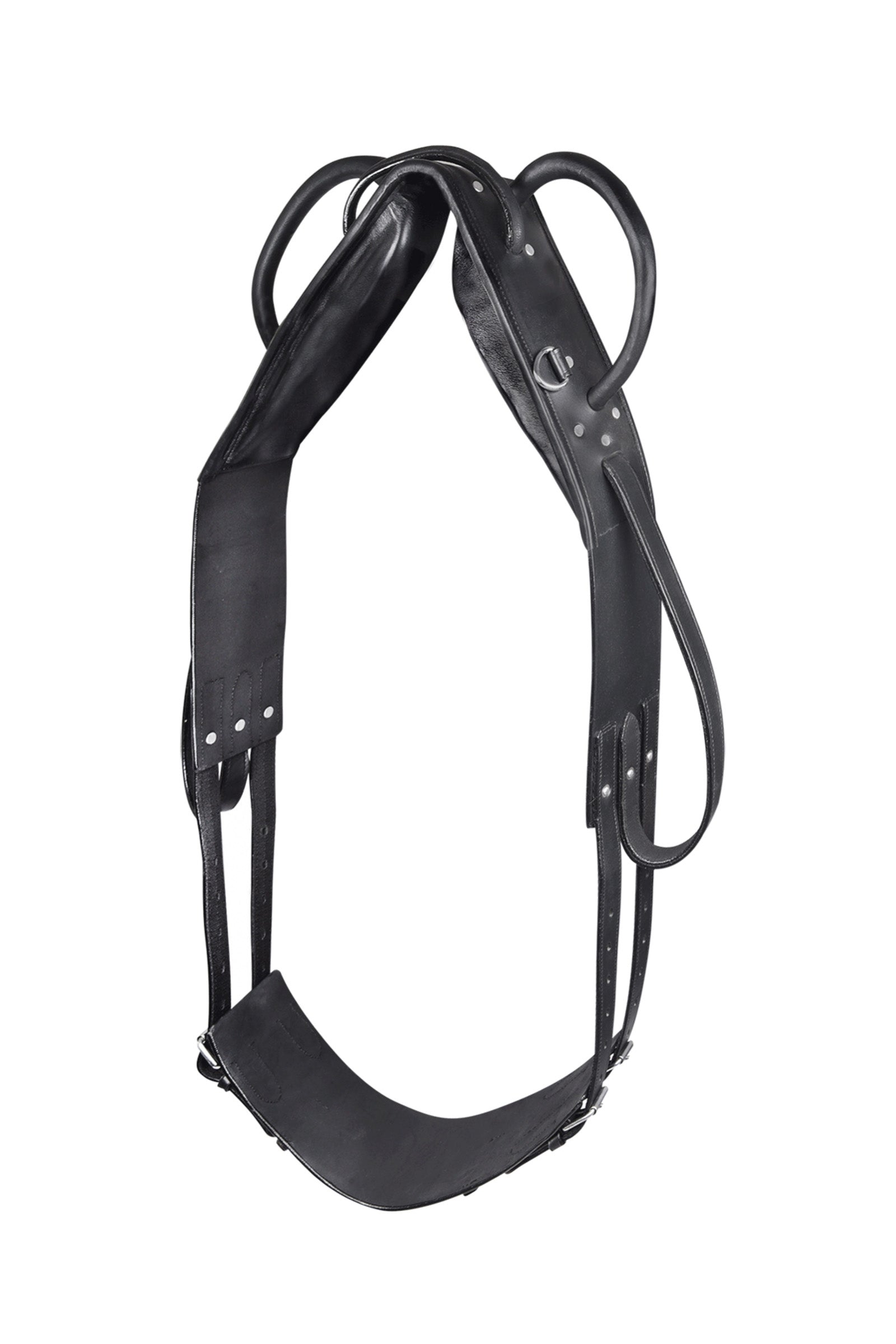 Waldhausen Vaulting & Lunging Surcingle Juoksutus & ohjasajo