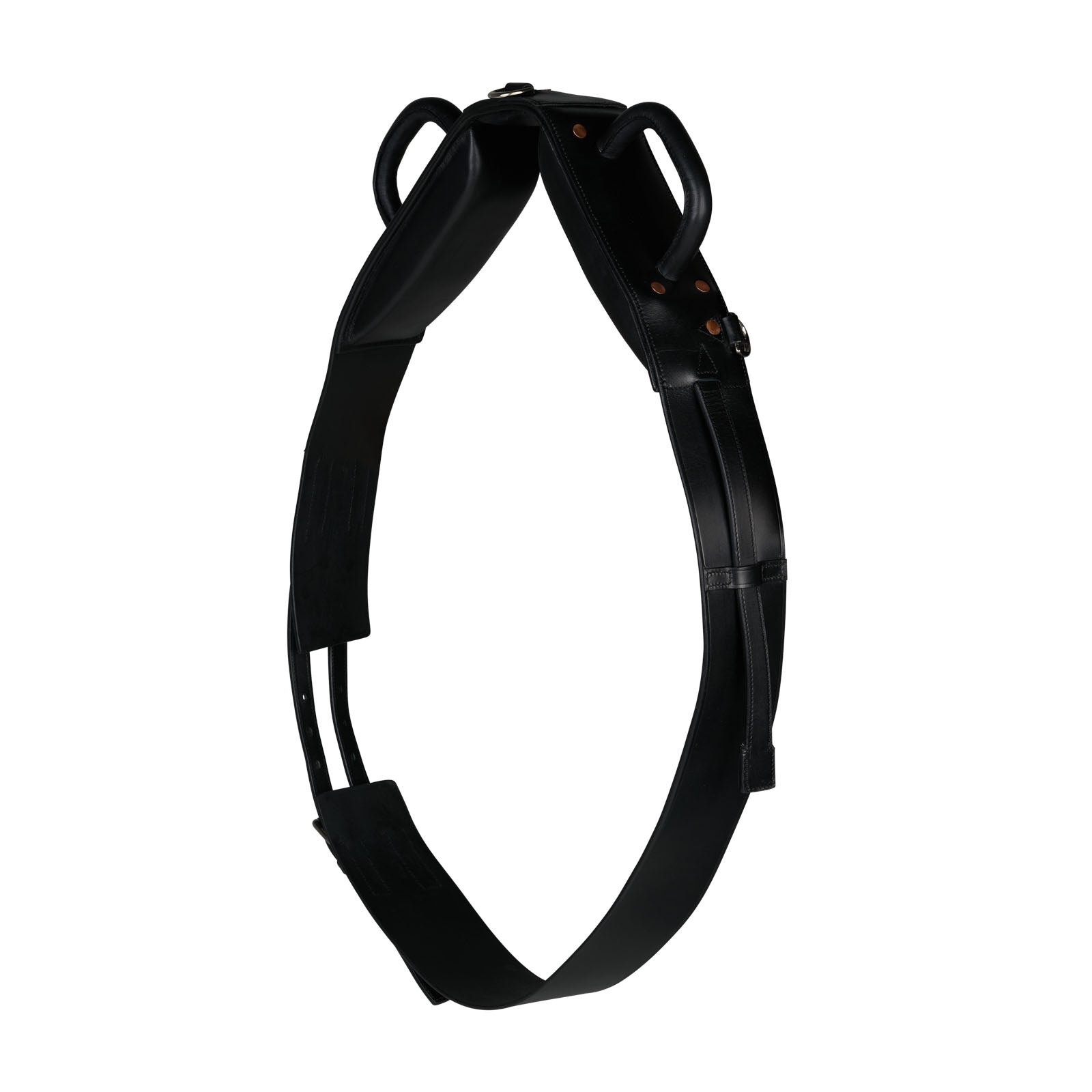 Horze Voltige vikellysvyö Juoksutus & ohjasajo