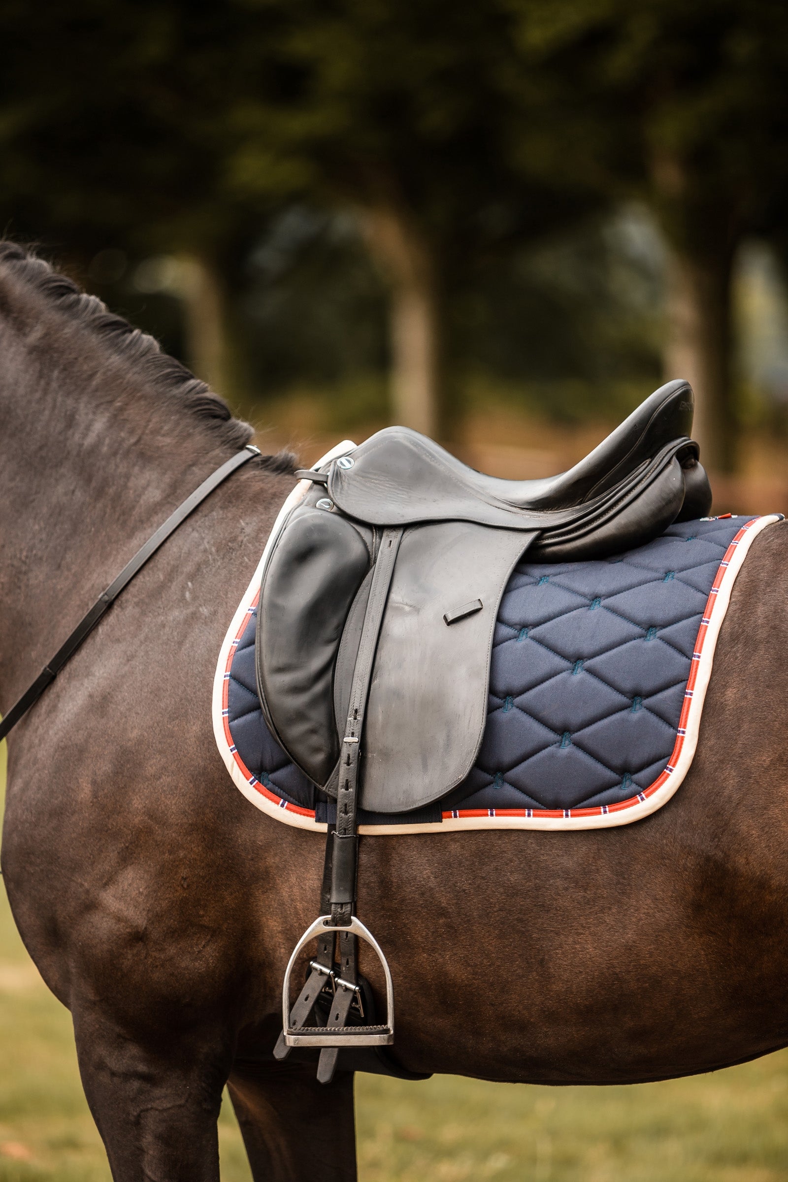 B Vertigo Amory Dressage Saddle Pad with Monogram Embroidery Saddle Pads