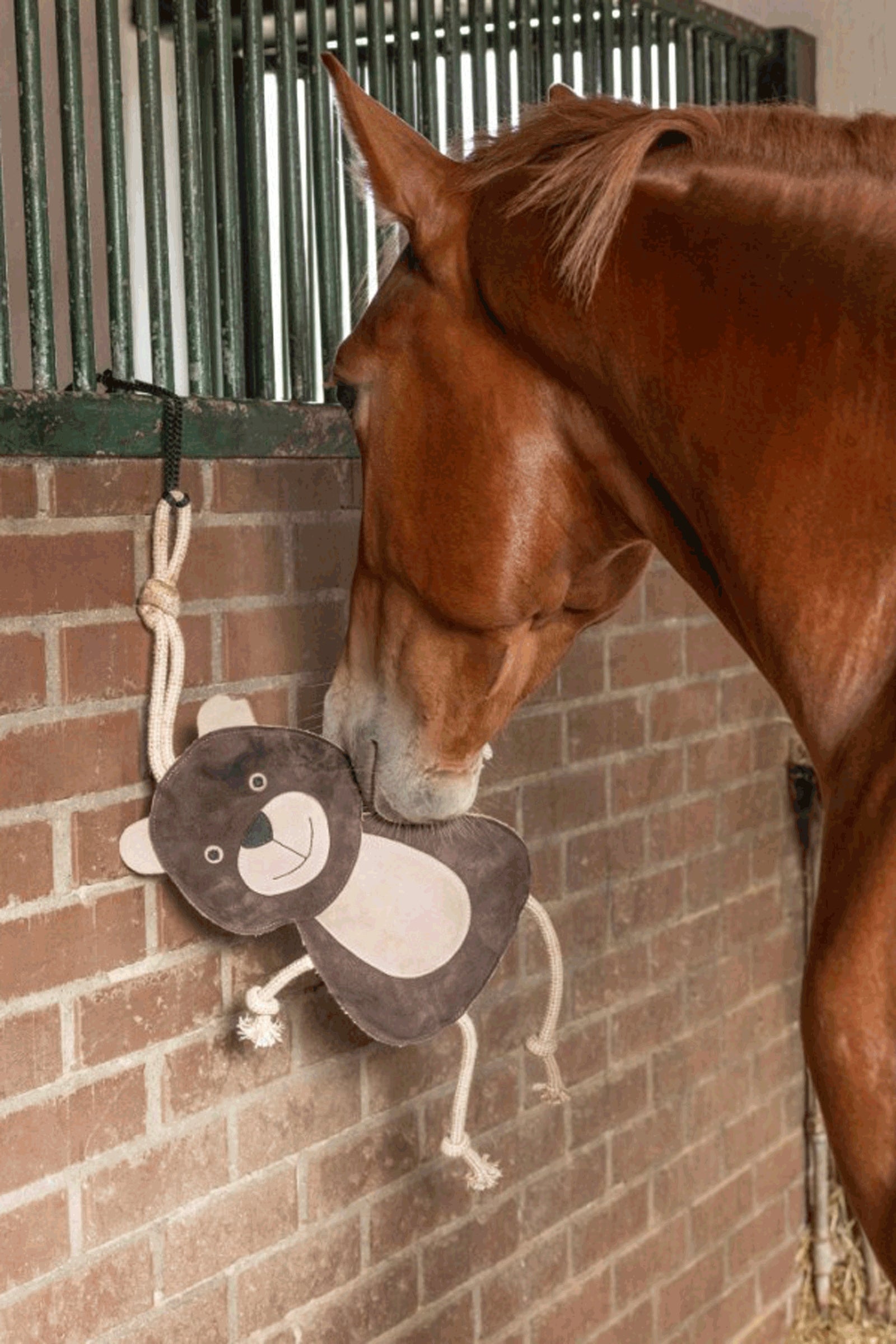 Kerbl Horse Toy Bear Horse Toys & Riding Arena Supplies