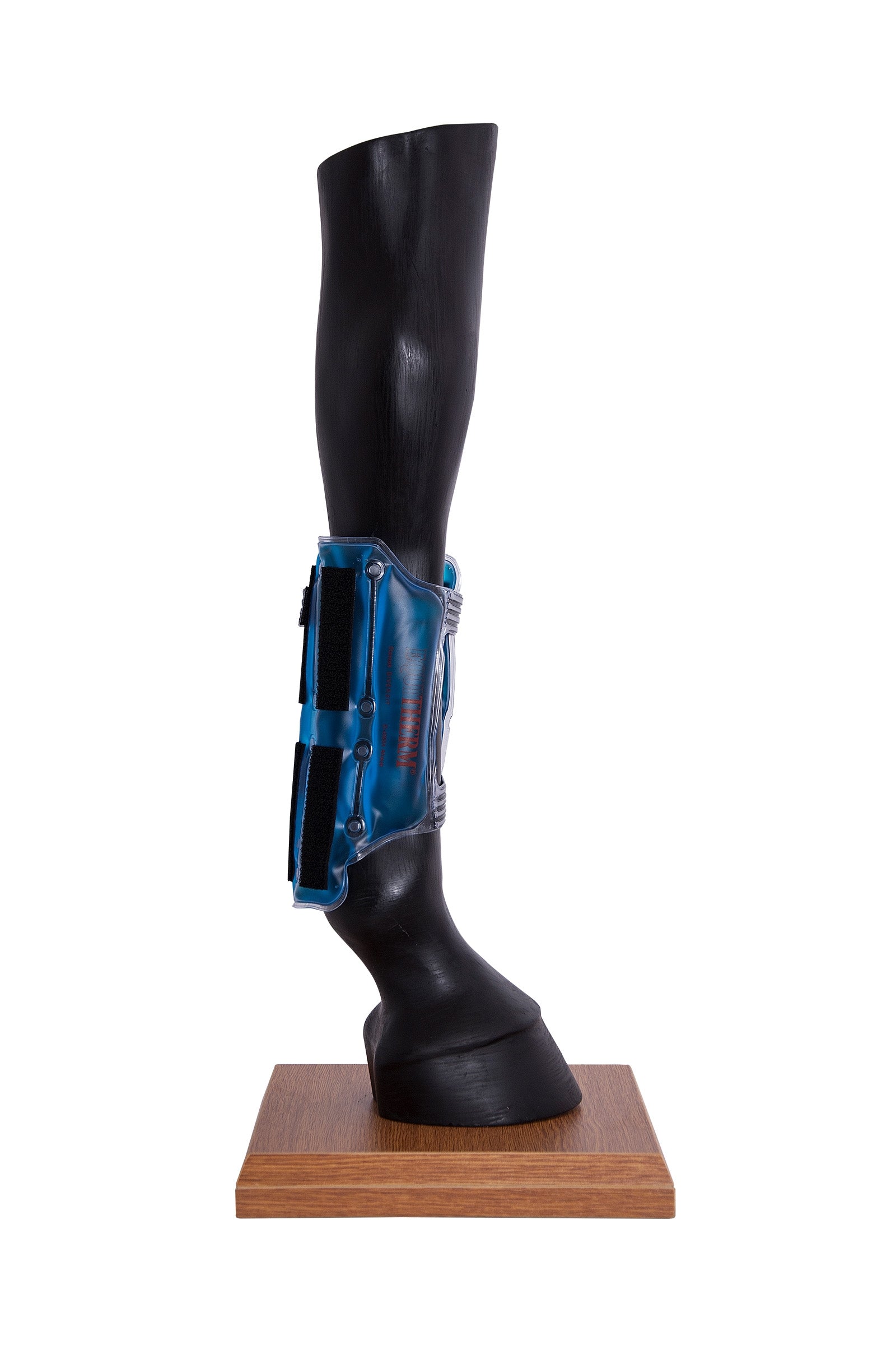 Stassek Equitherm kylmäyspatja tarrakiinnityksellä Leg Protection & Hoof Protection for Horses