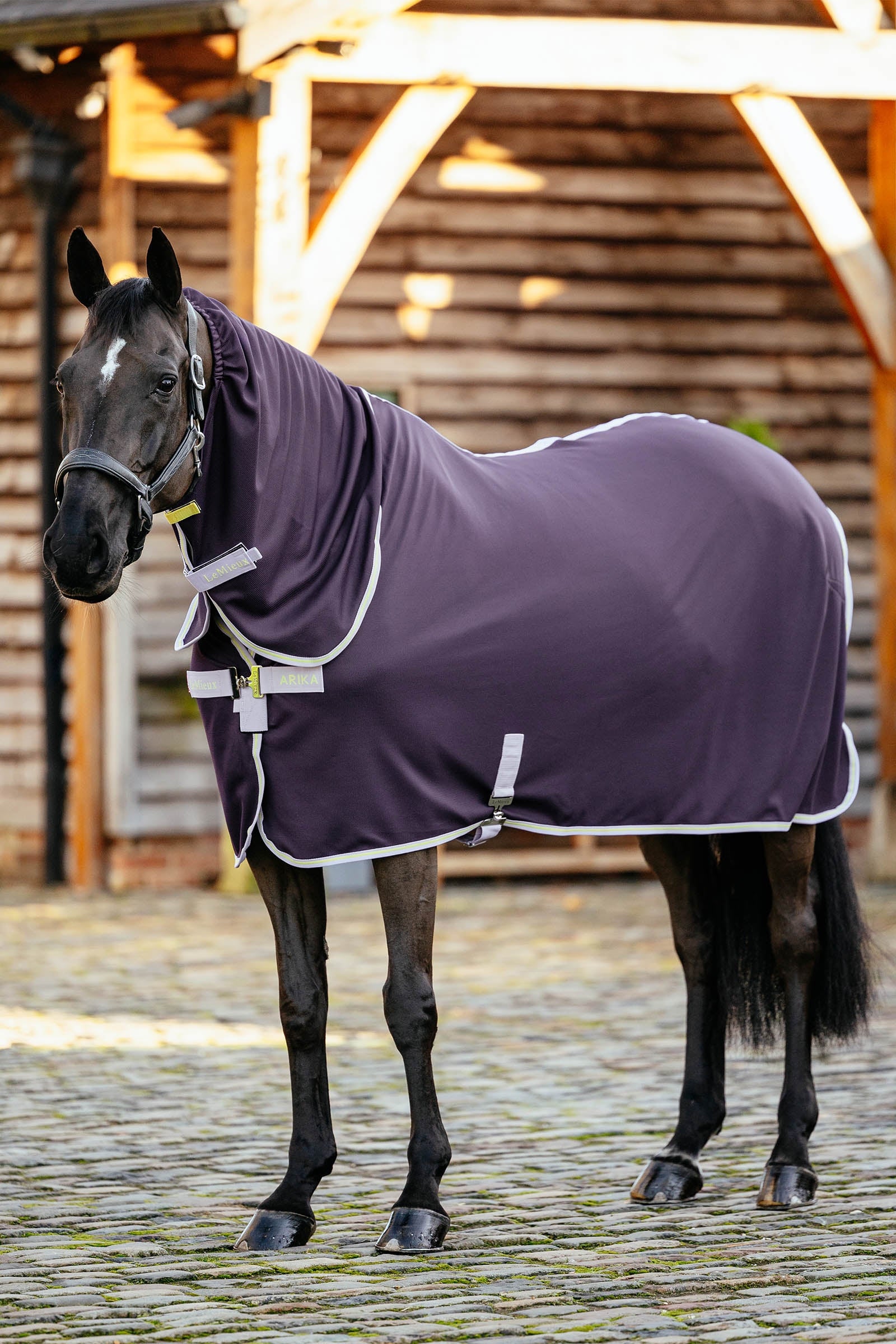 LeMieux Arika DryEase Rug Horse Rugs