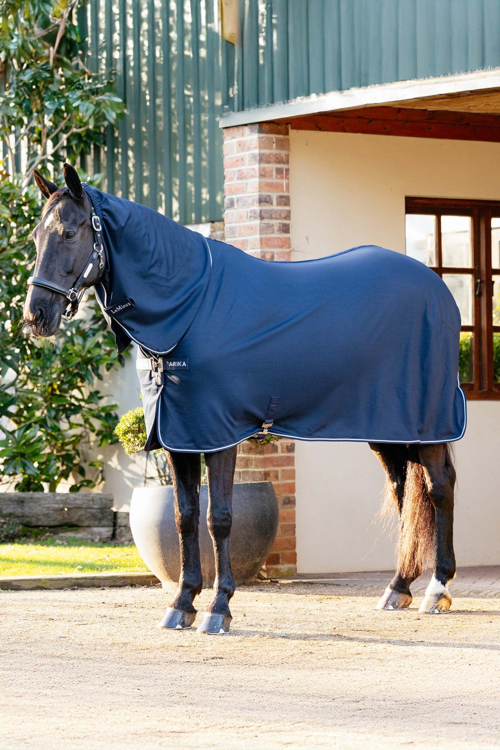 LeMieux Arika DryEase Rug Horse Rugs