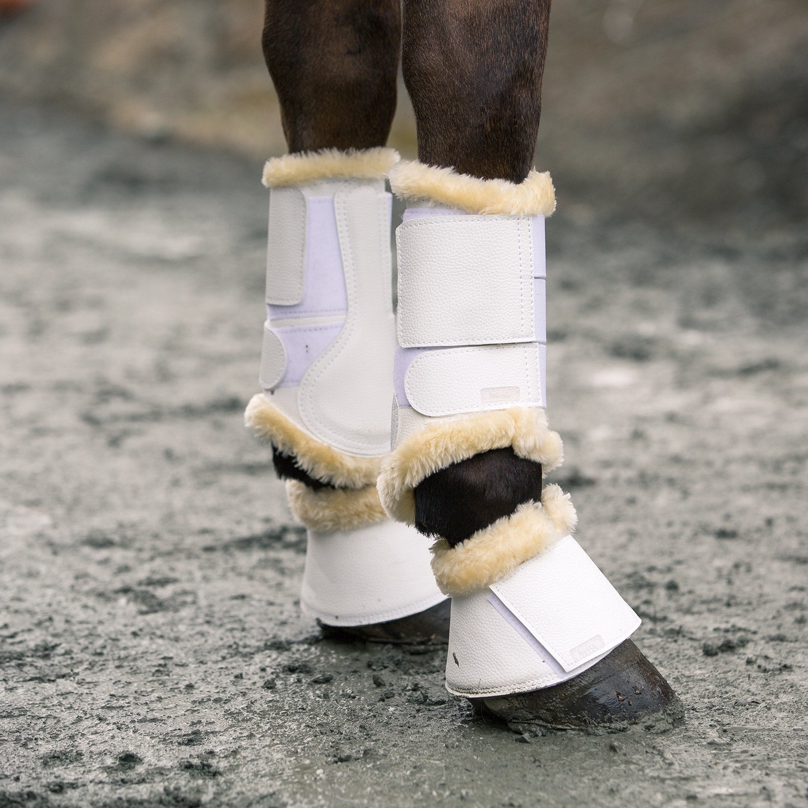 Horze Signature Brushing Boots Leg Protection & Hoof Protection for Horses