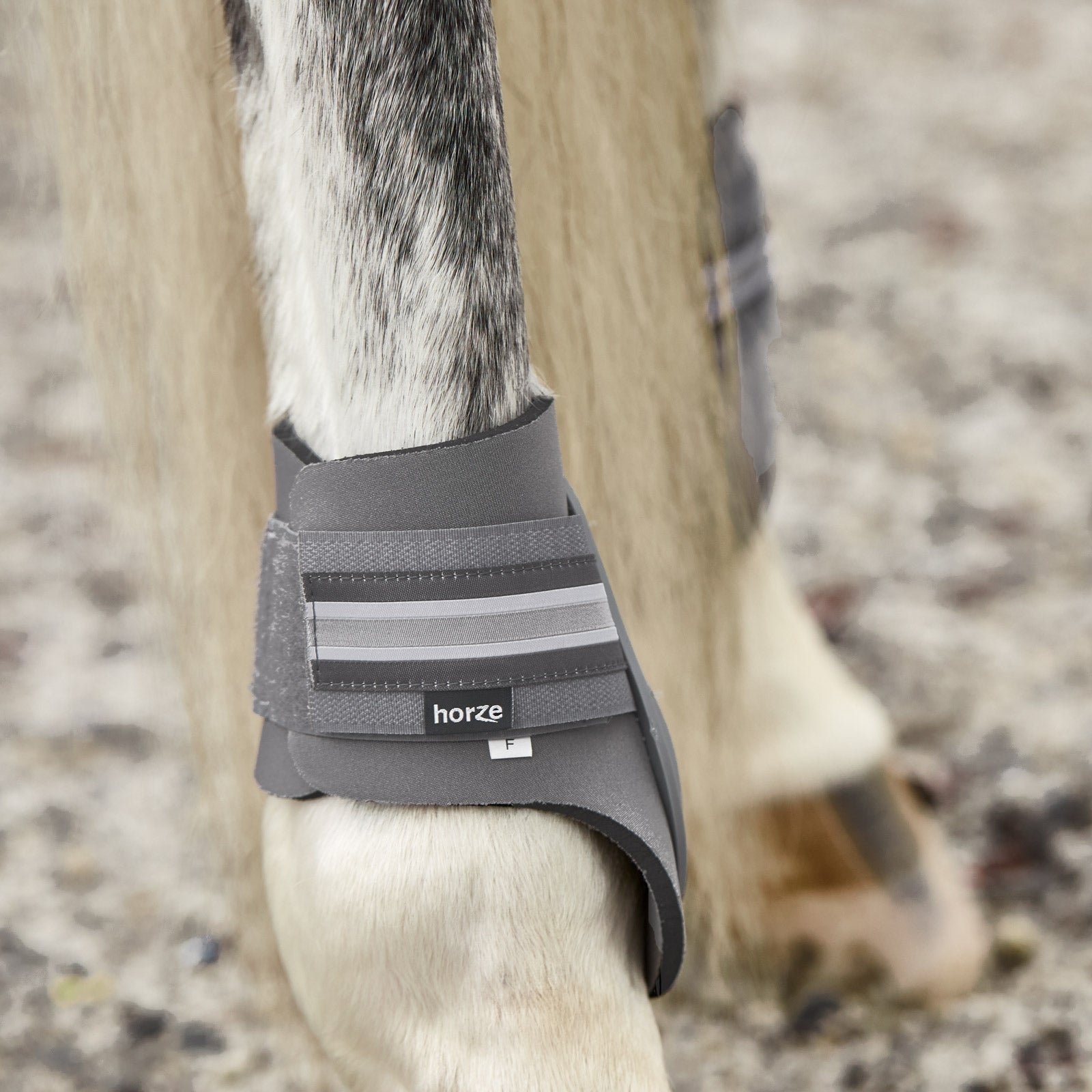 Horze Adepto Fetlock Boots Leg Protection & Hoof Protection for Horses
