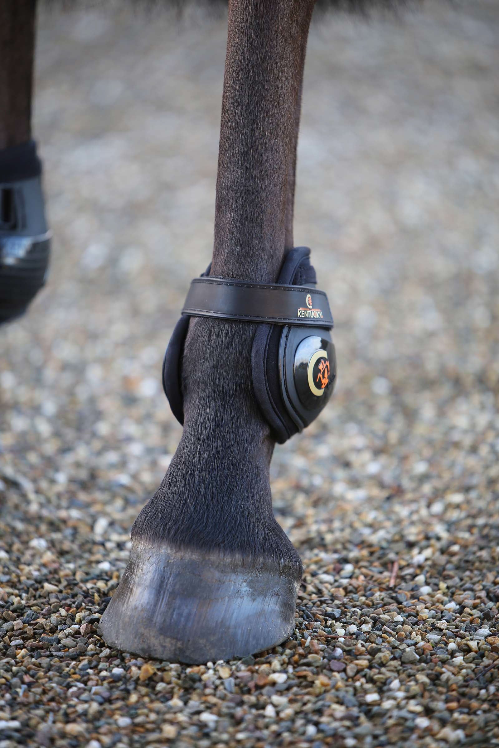 Kentucky Horsewear Moonboots, hind Leg Protection & Hoof Protection for Horses