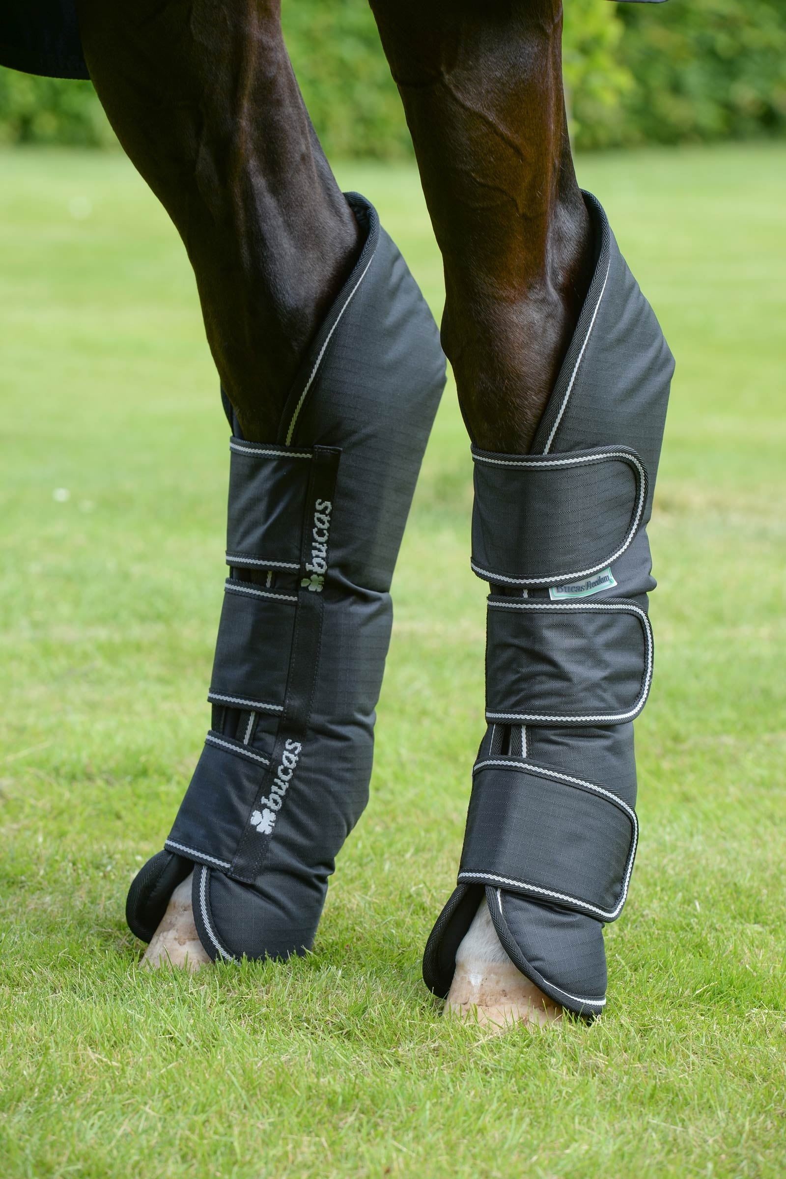 Bucas Freedom Travel Boots Leg Protection & Hoof Protection for Horses
