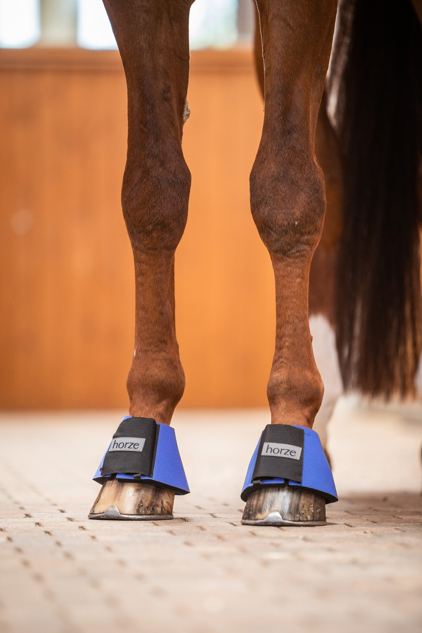 Horze ProBell Boots Leg Protection & Hoof Protection for Horses