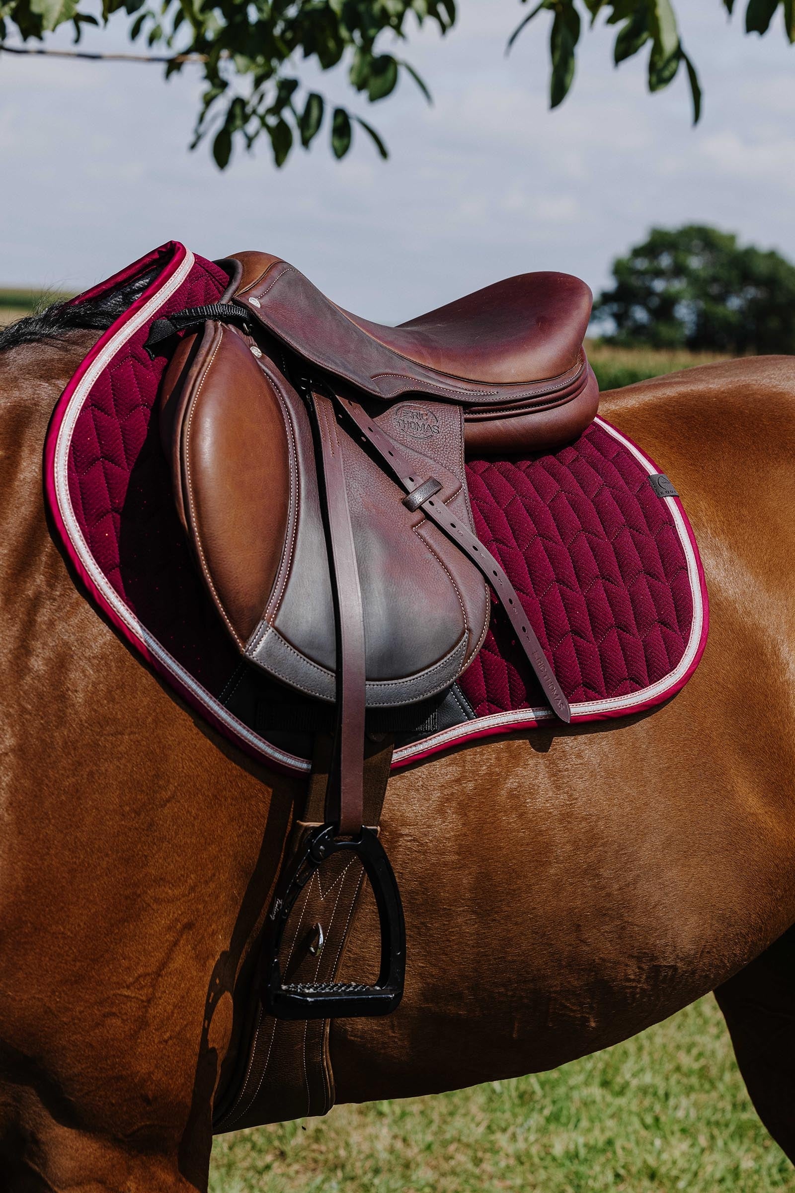 EQUITHÈME Eclat Saddle Pad Saddle Pads