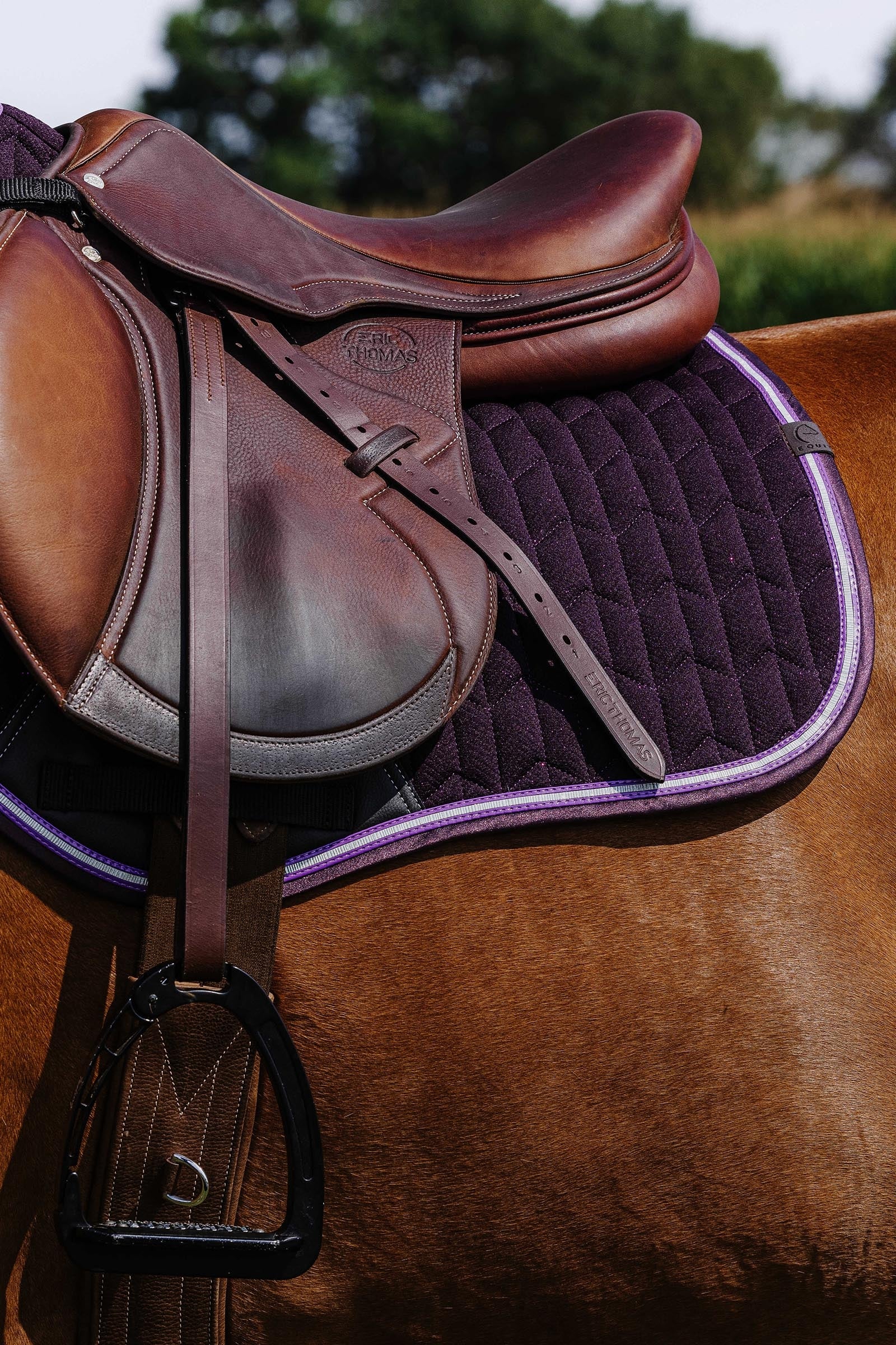 EQUITHÈME Eclat Saddle Pad Saddle Pads