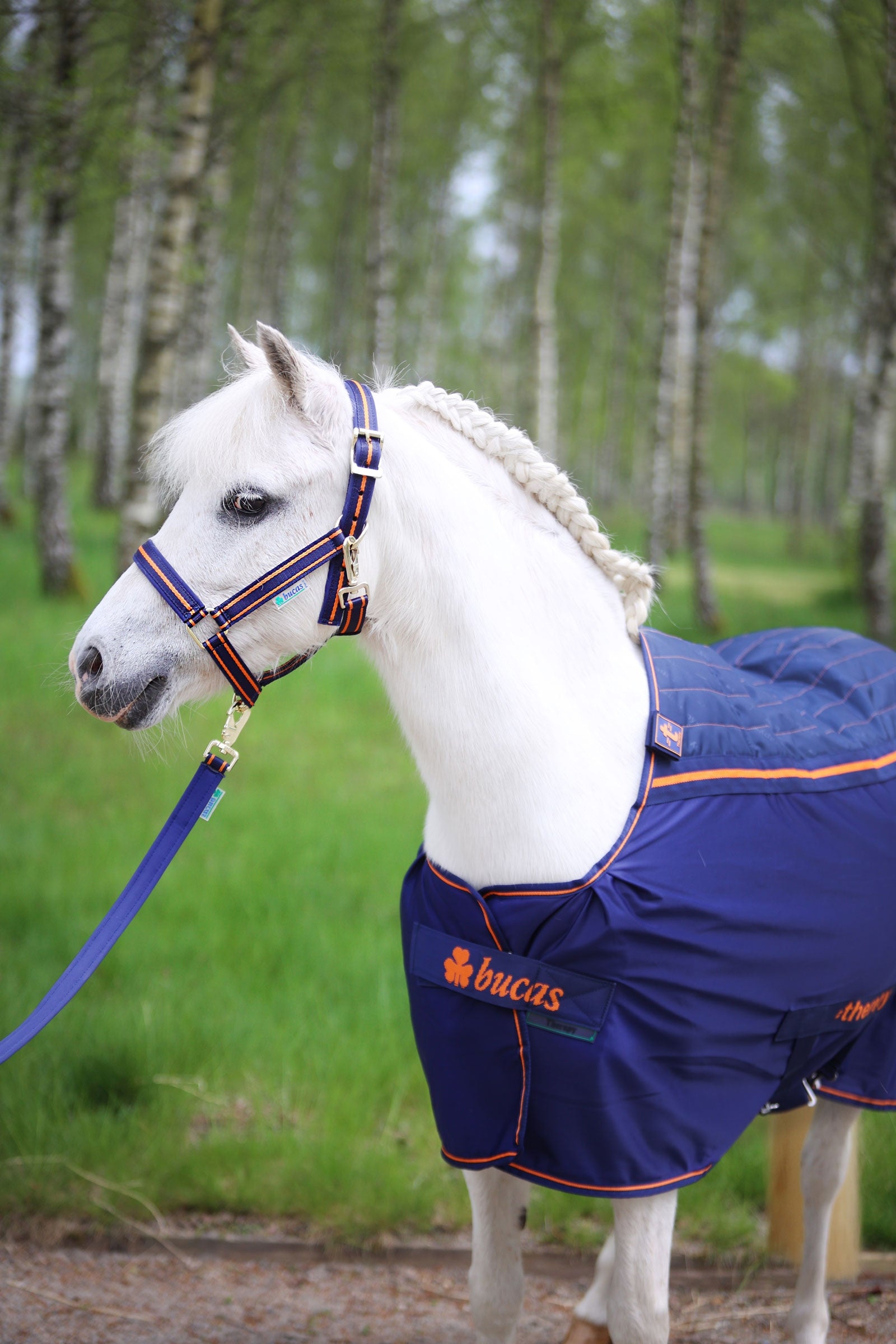 Bucas Therapy Pony Cooler Rug, 0 g Horse Rugs