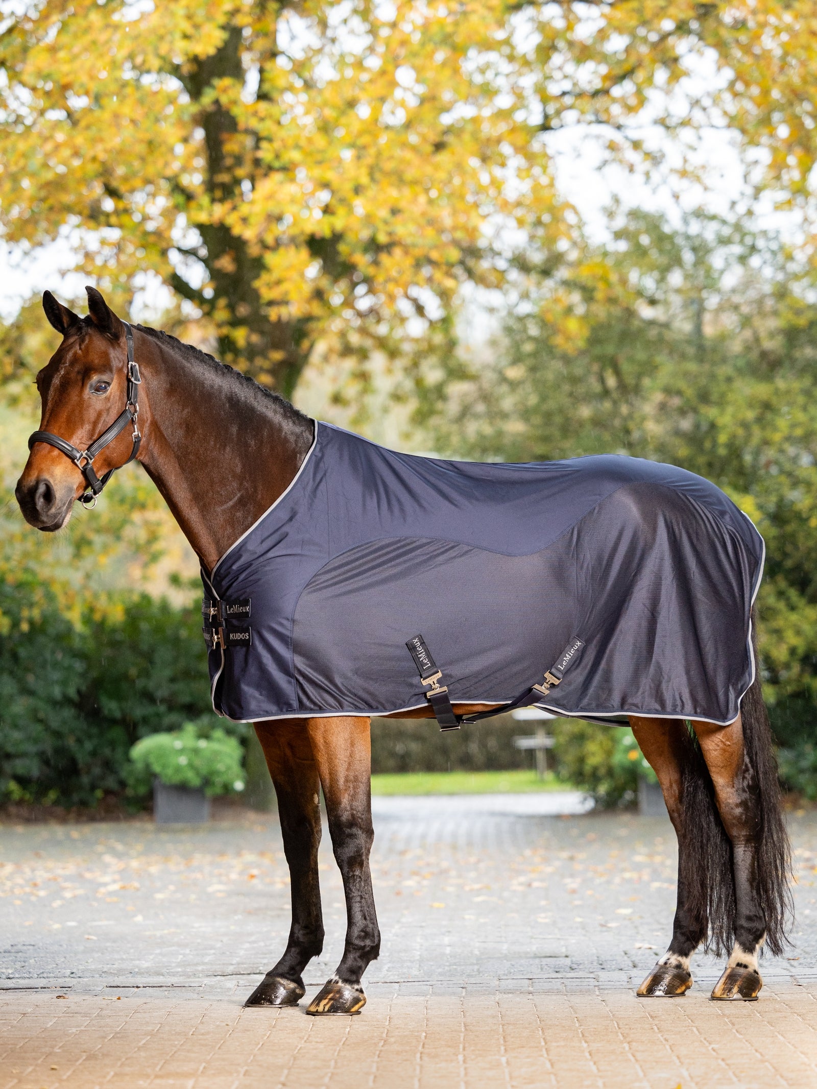 LeMieux Kudos Hybrid Cooler Loimet