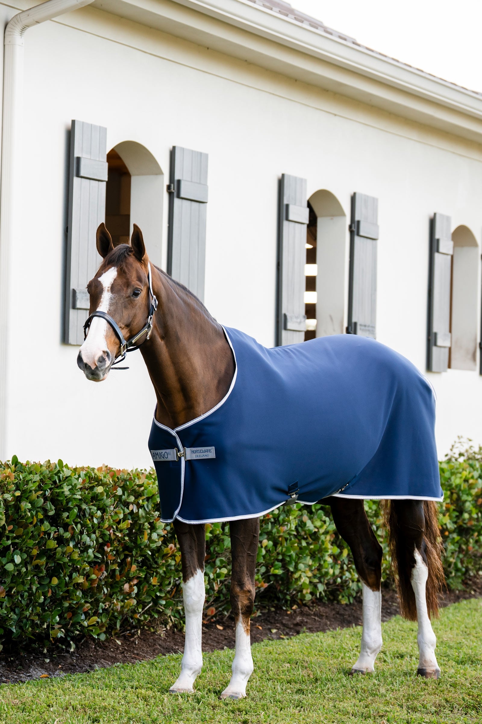 Horseware Amigo Jersey cooler-loimi Loimet