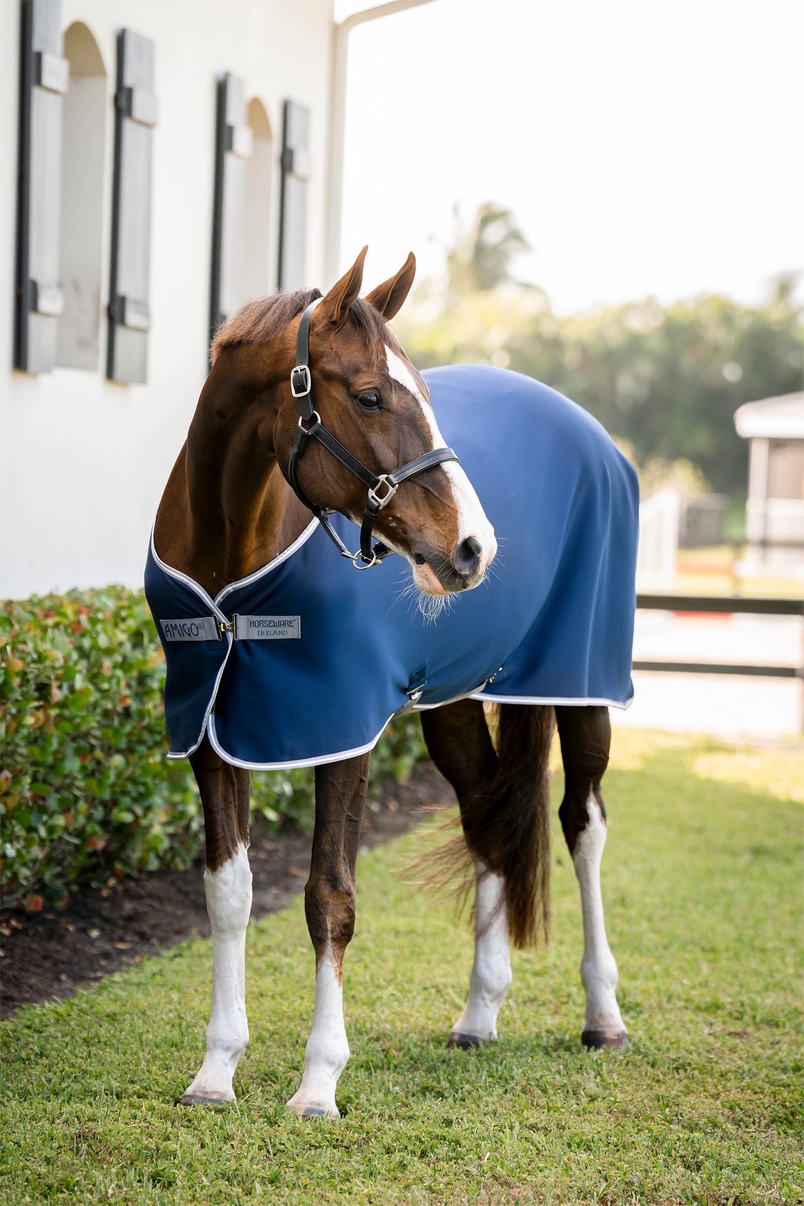 Horseware Amigo Jersey Cooler Horse Rugs