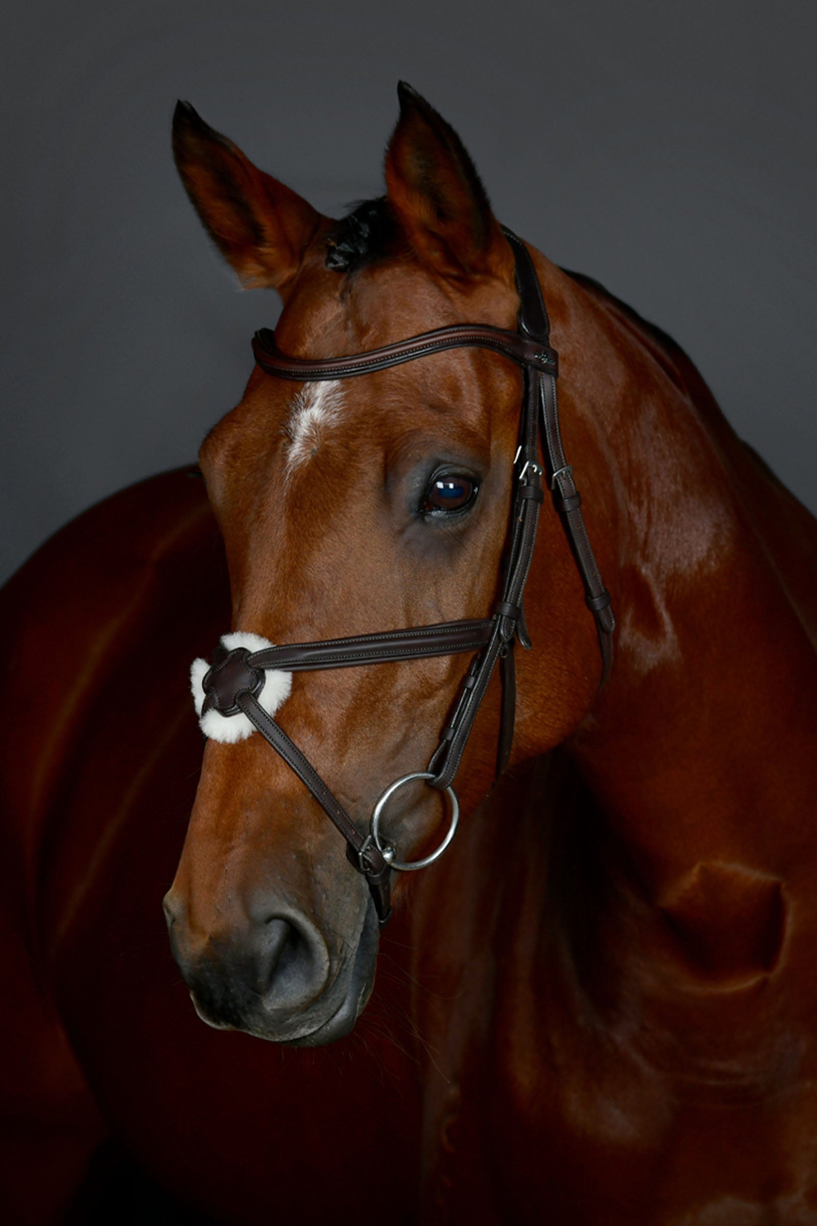 Collegiate Comfitec Opulux yksinkertainen pehmustettu suitsi meksikolaisella turpahihnalla Suitset & Ohjat