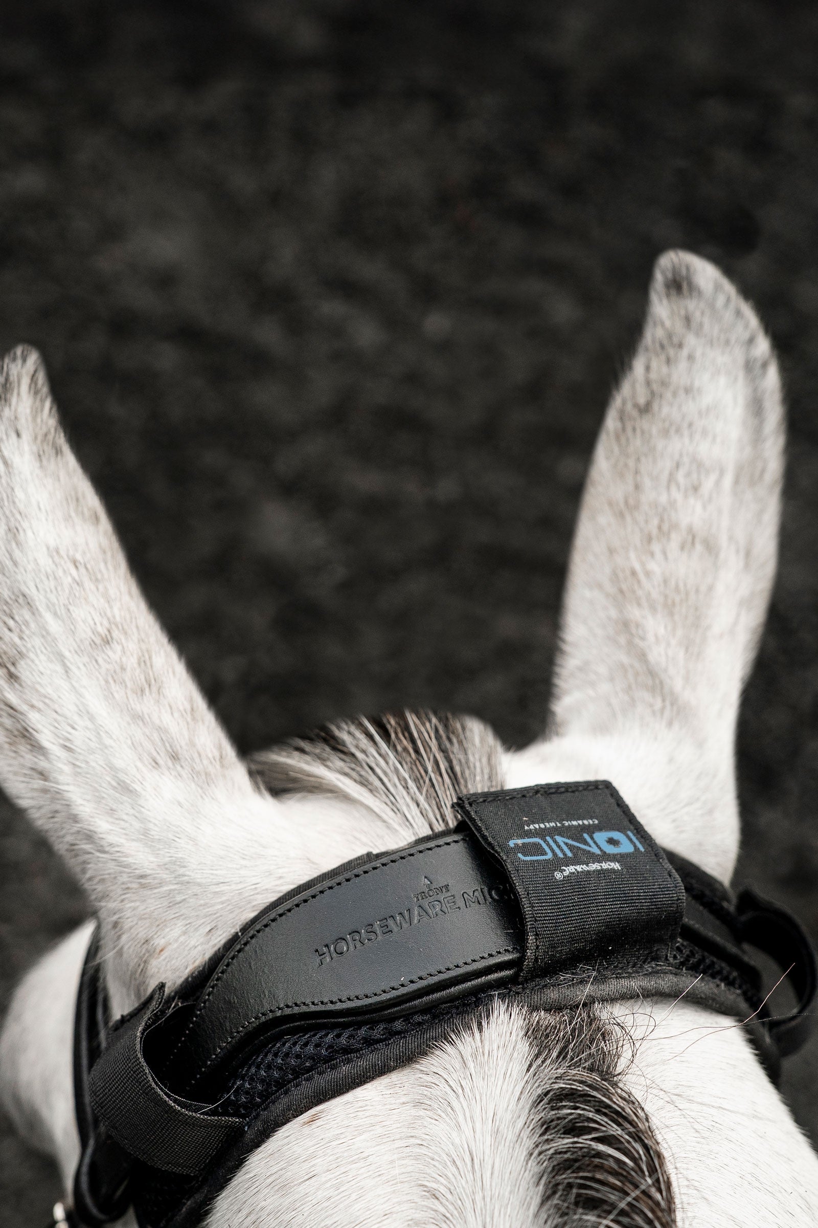 Horseware Ionic Poll Cover Antifly Protection for Horses