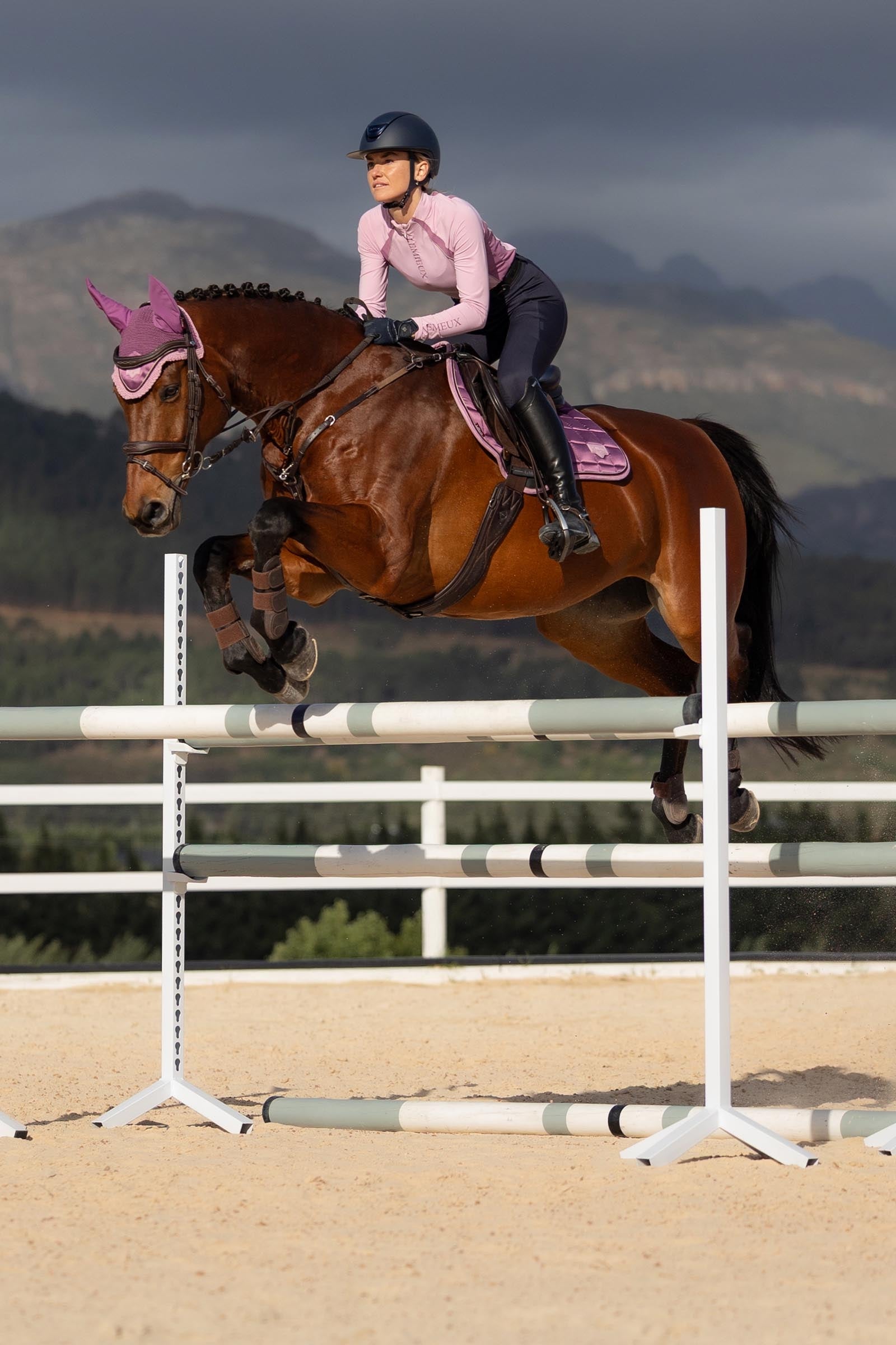 LeMieux Loire Classic Square Close Contact Saddle Pad Saddle Pads