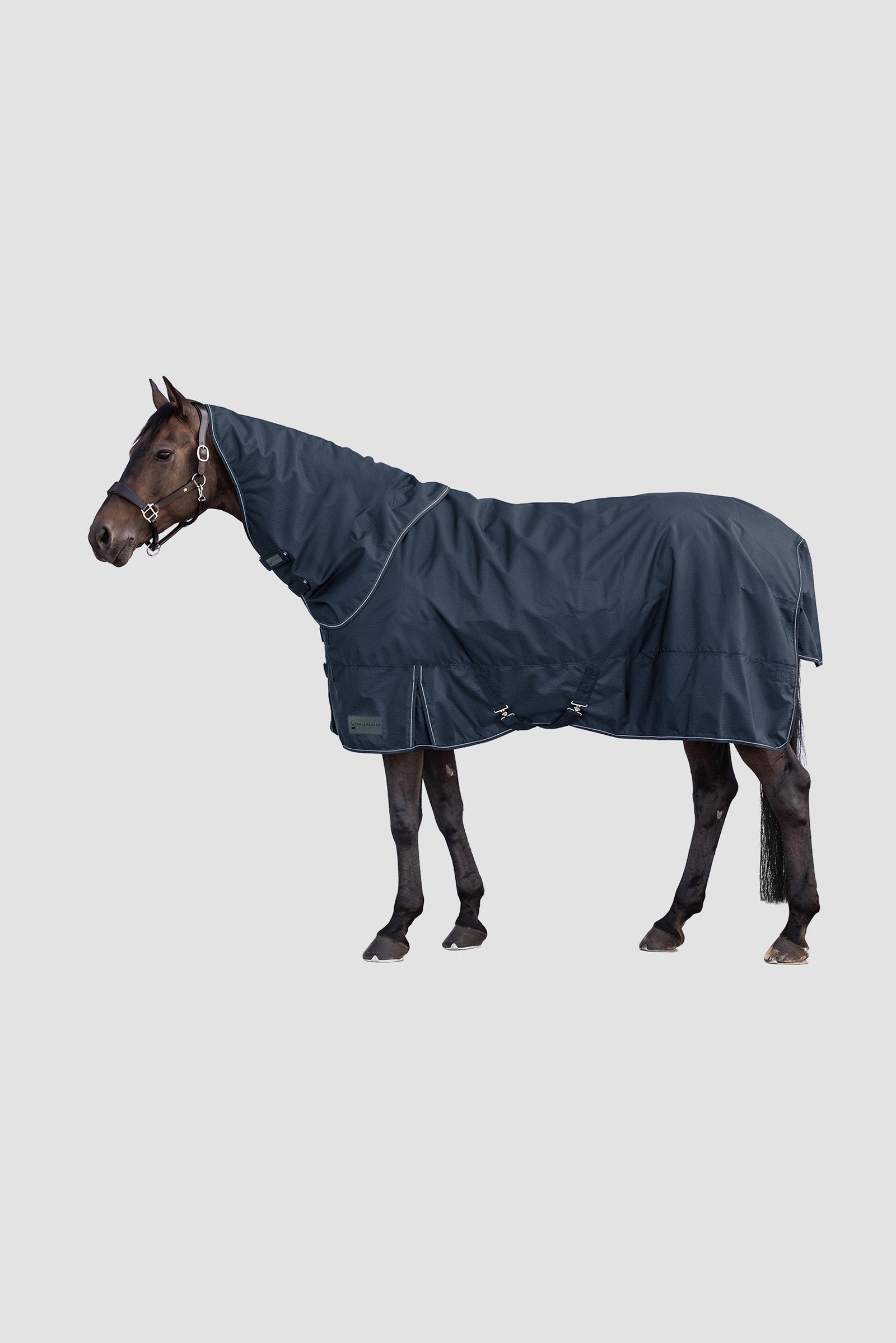 Waldhausen 600D Outdoor Neck Rug, 200 g Horse Rugs