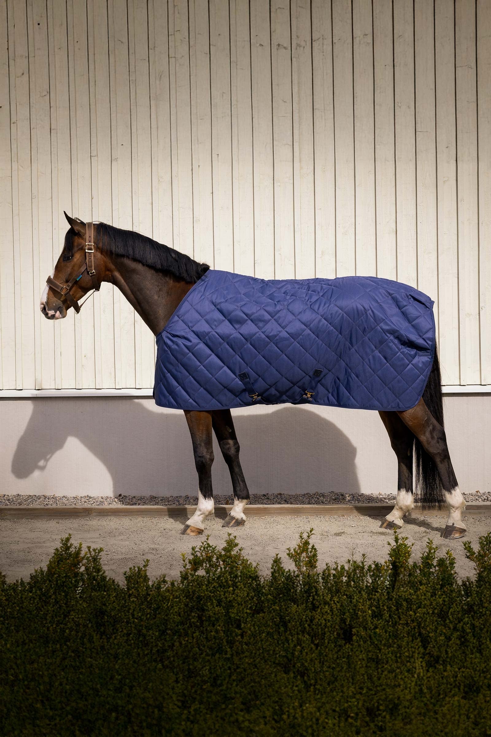 Bucas Cosy Stable Rug Loimet