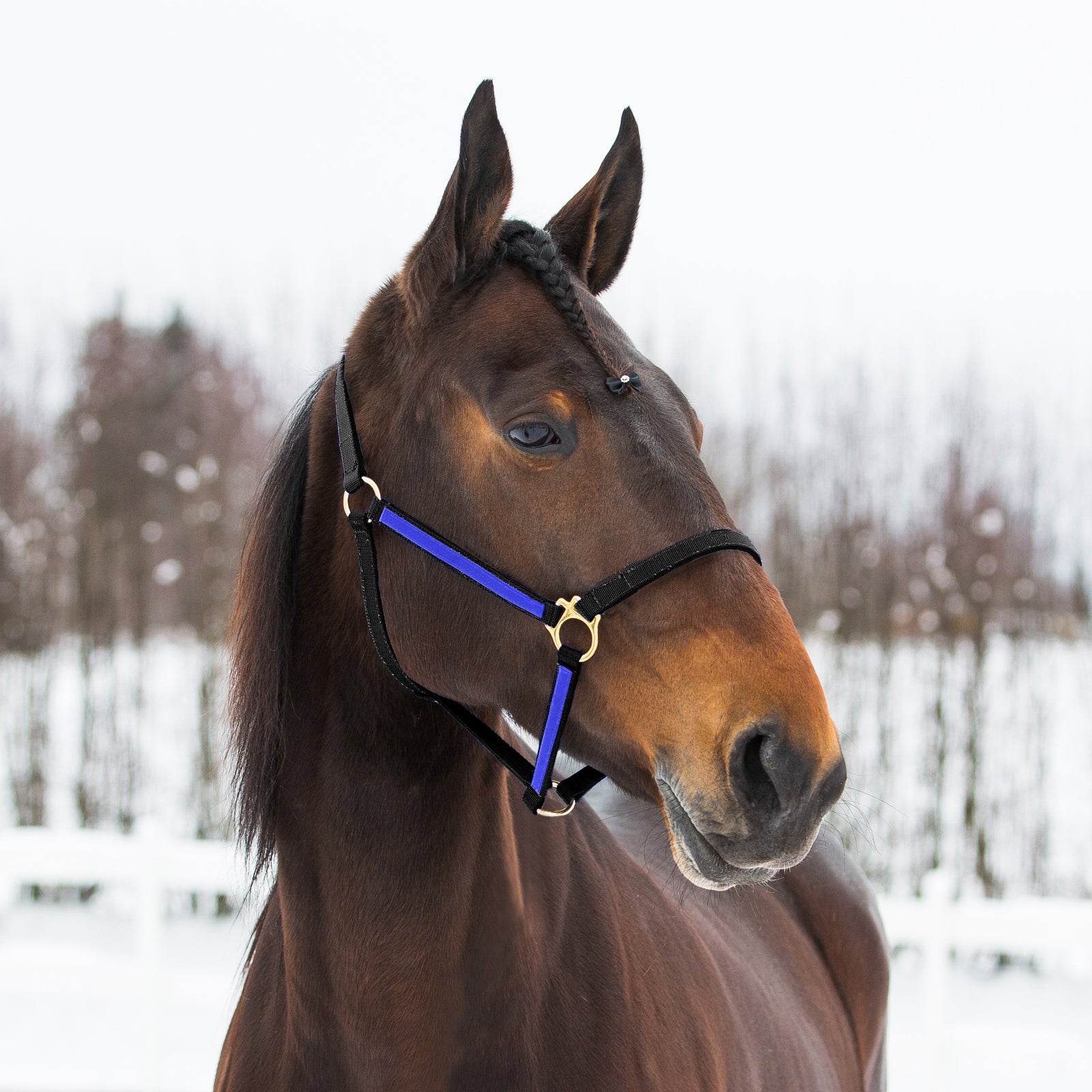 Finntack Pro jenkkiriimu, nailonia Riimut & riimunnarut