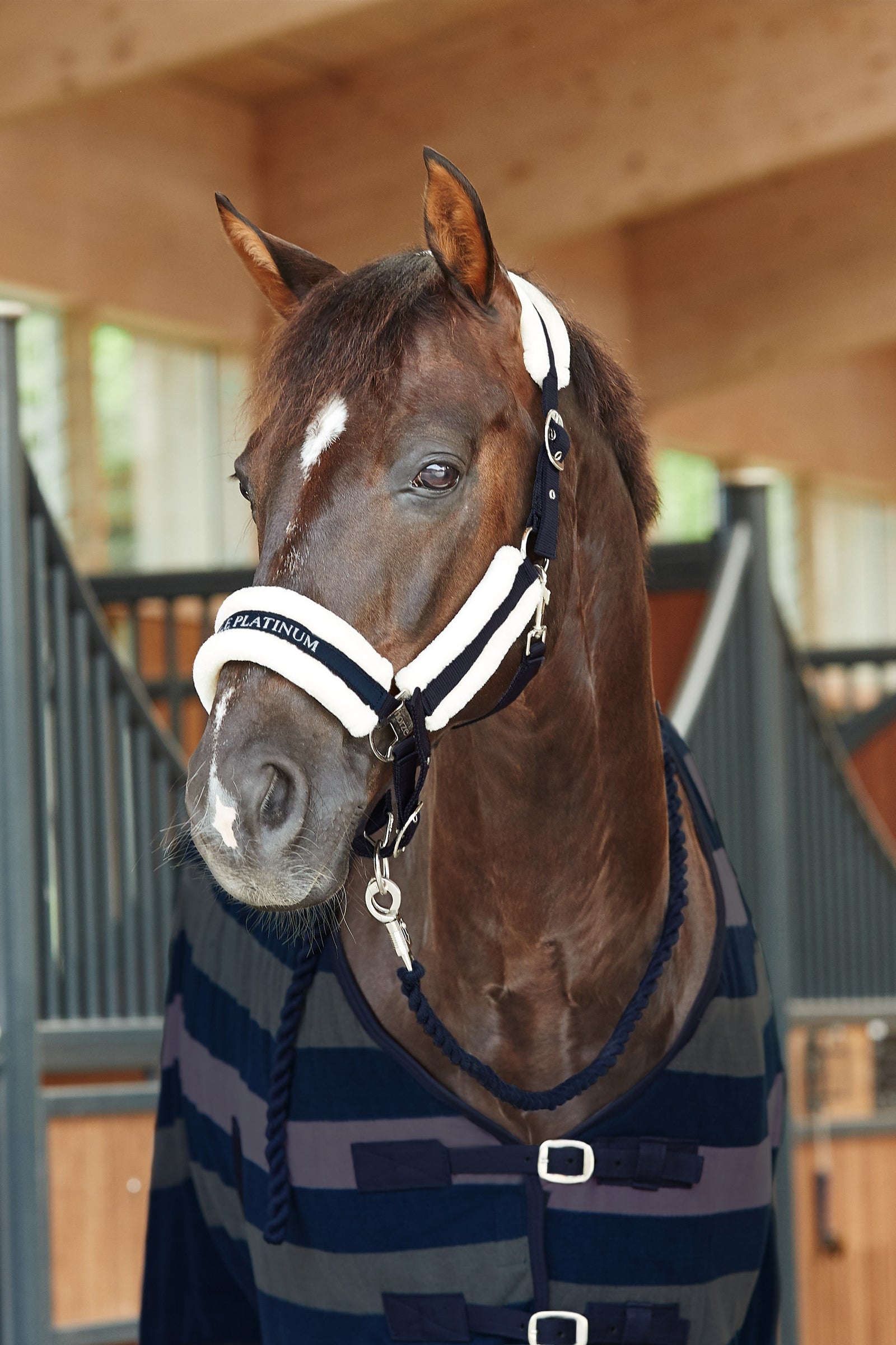 Horze Stanford Halter with Faux Fur Lining Halters & Leads