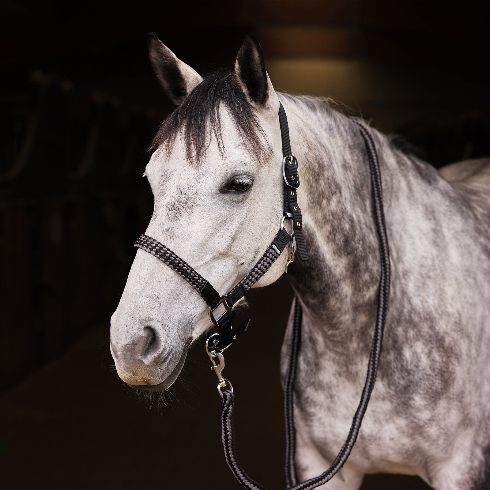 Horze Chicago Halter & Lead Set Halters & Leads