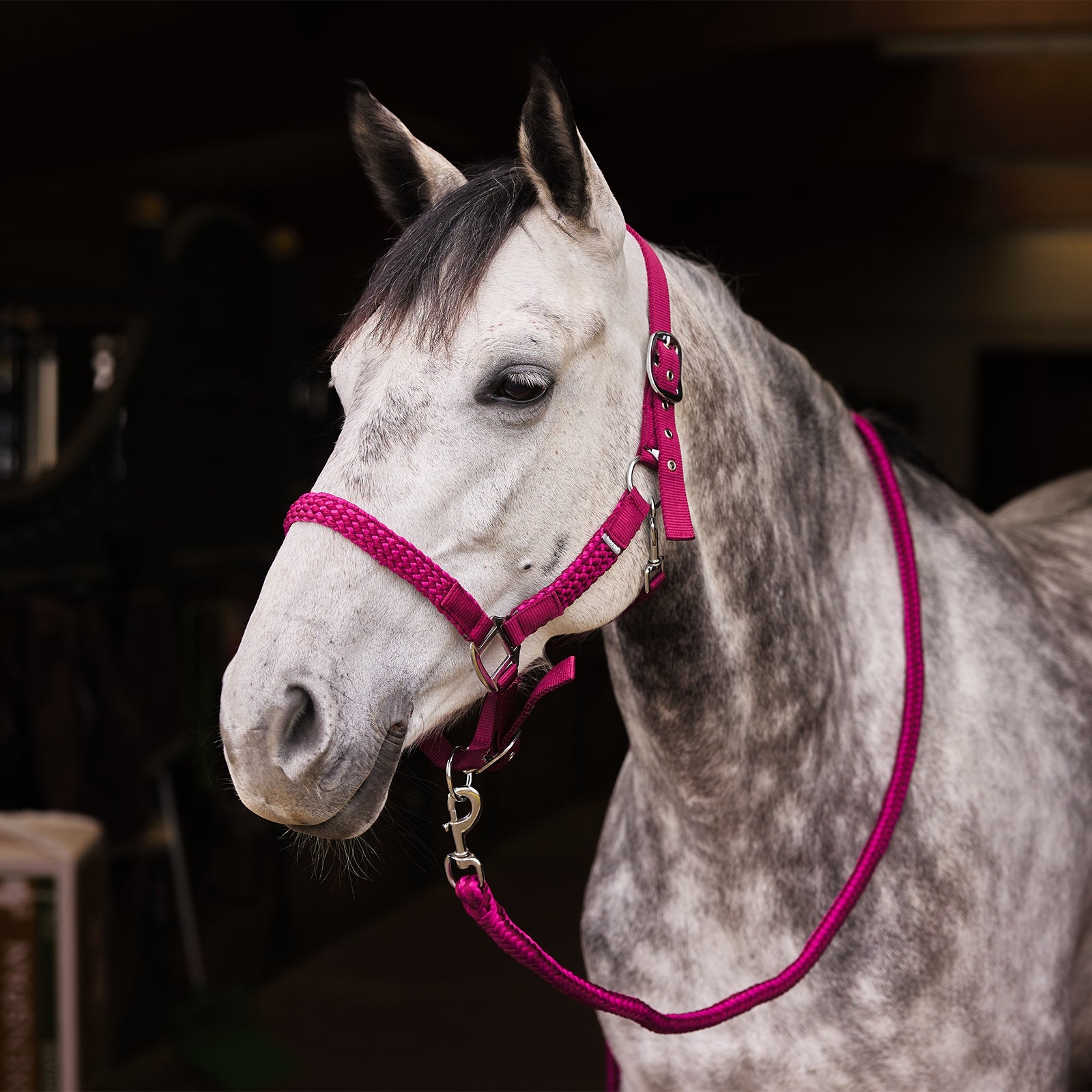 Horze Chicago Halter & Lead Set Halters & Leads
