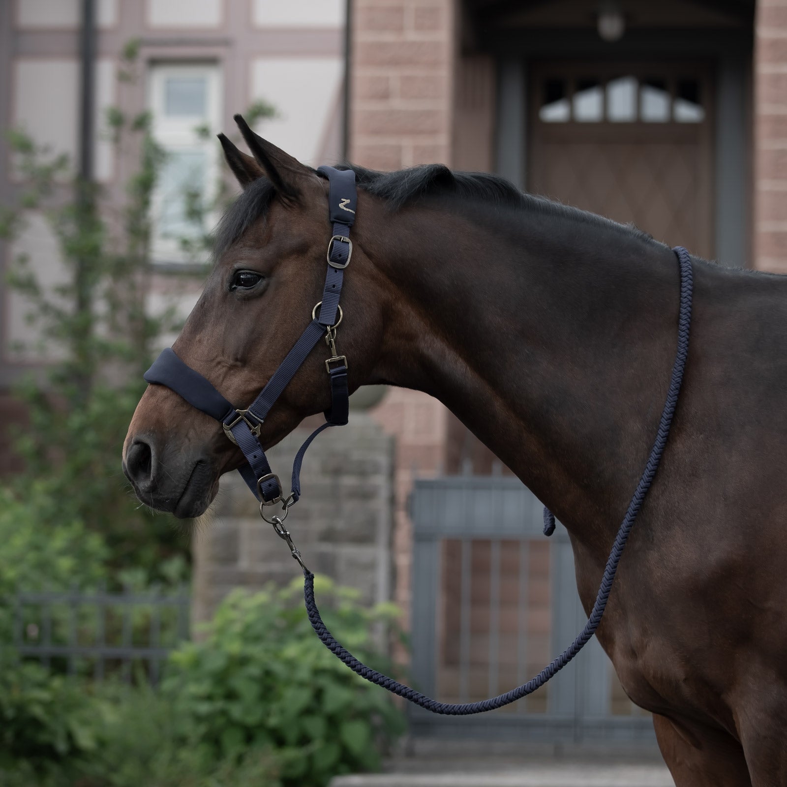 Horze Graz Halter Halters & Leads