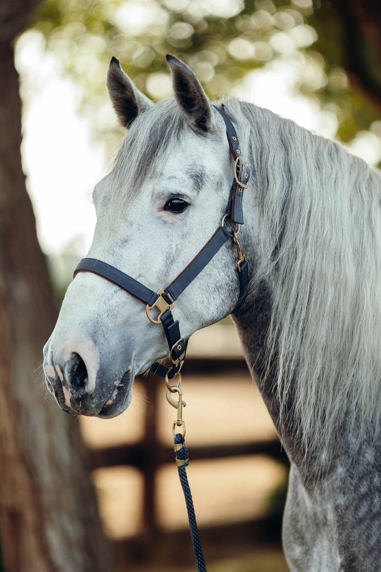 Horze Houston Halter Halters & Leads