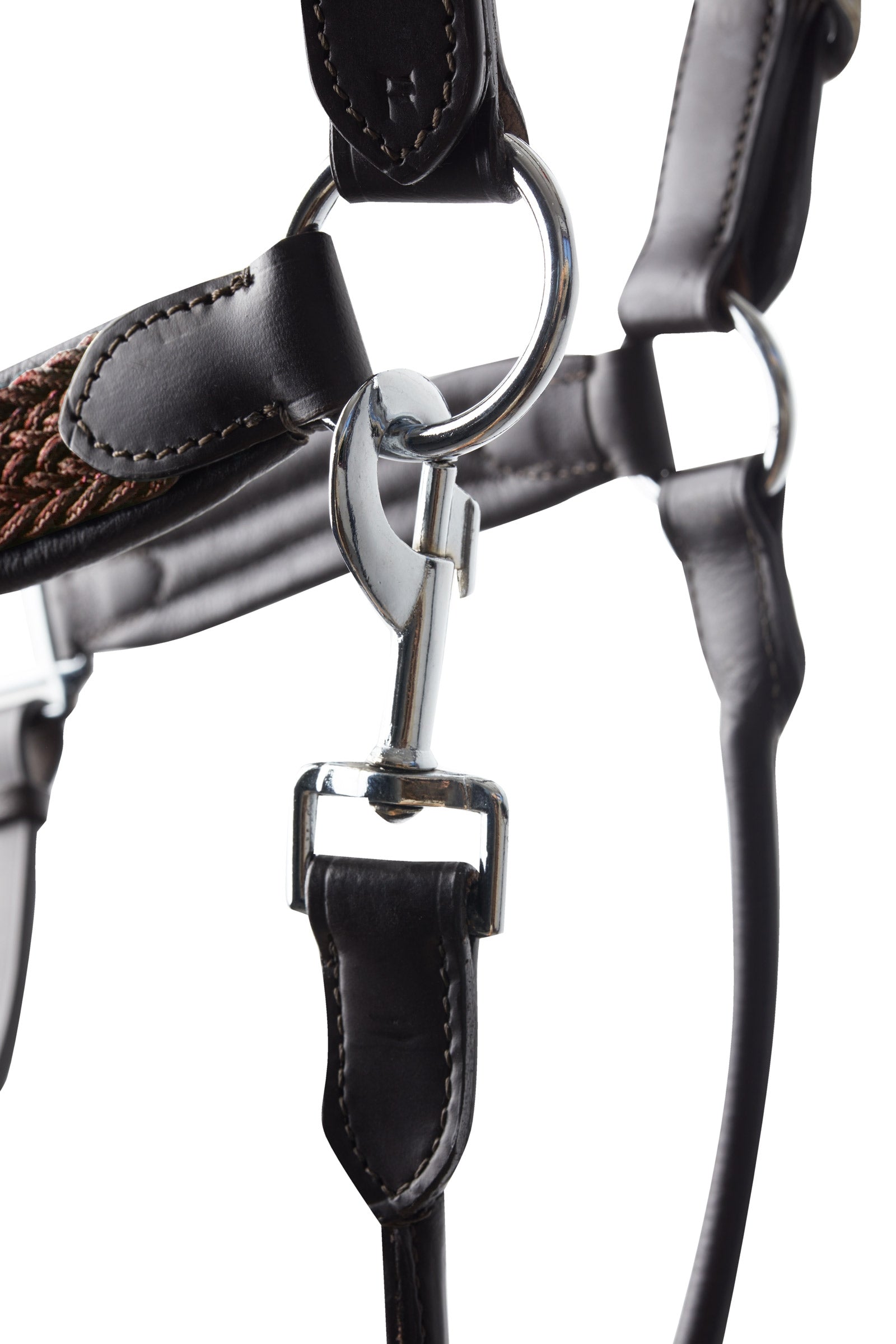 B Vertigo Evolve Leather Halter Halters & Leads