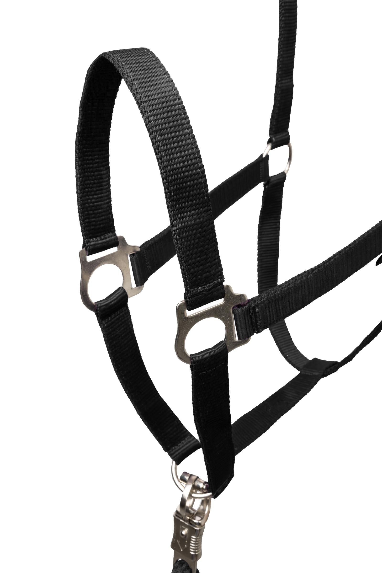 Horze Basic Halter & Panic Hook Lead Halters & Leads