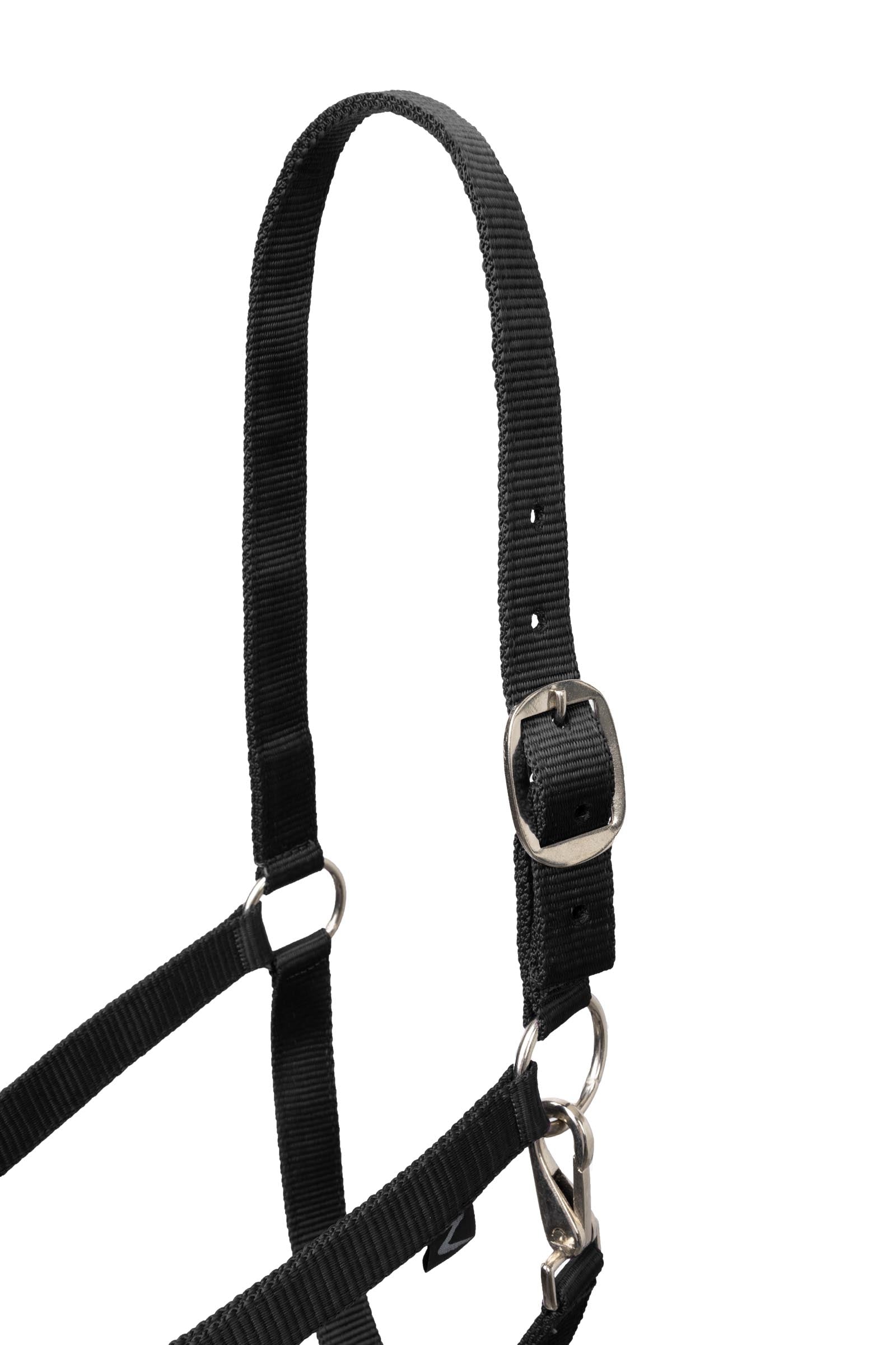 Horze Basic Halter & Panic Hook Lead Halters & Leads