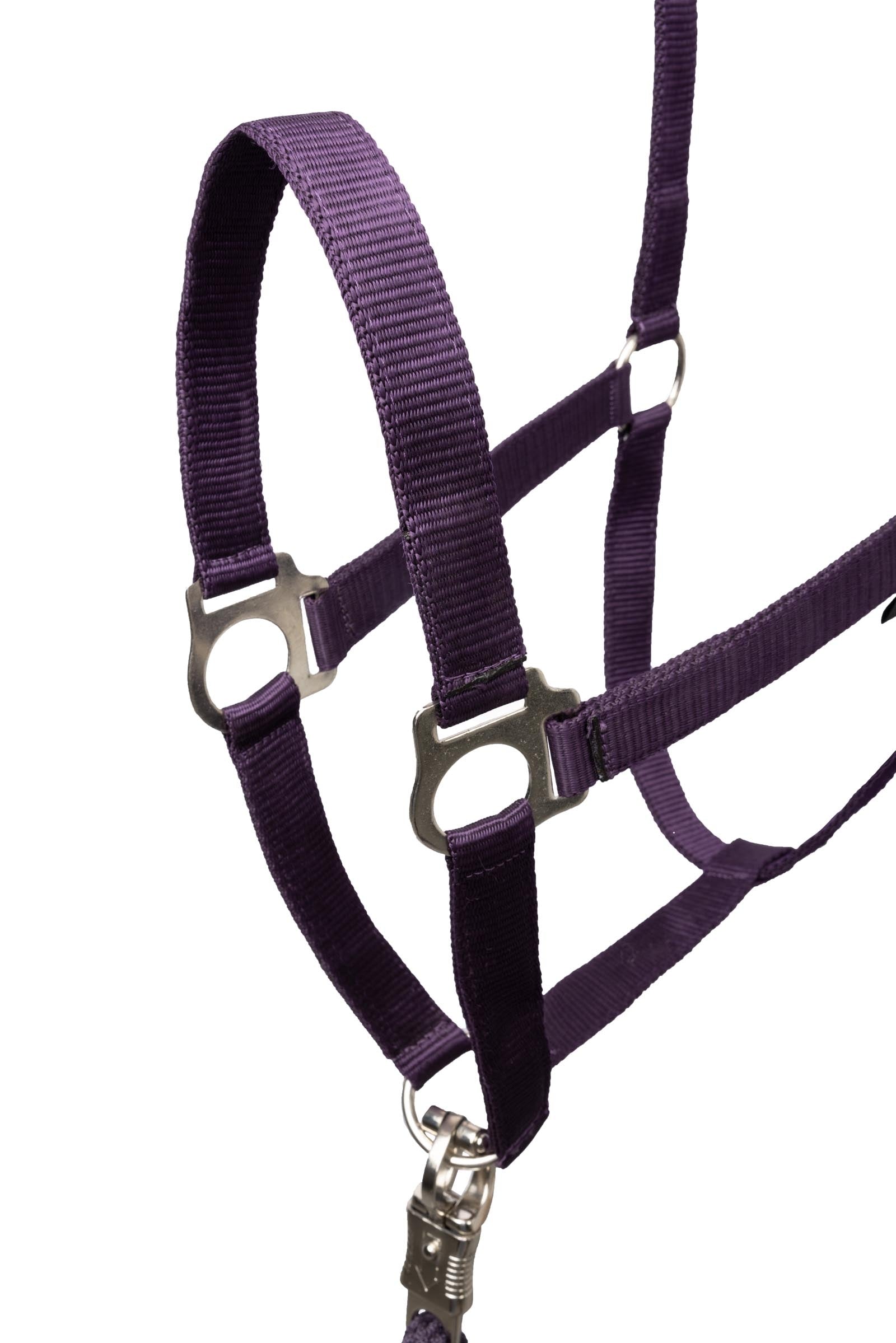 Horze Basic Halter & Panic Hook Lead Halters & Leads