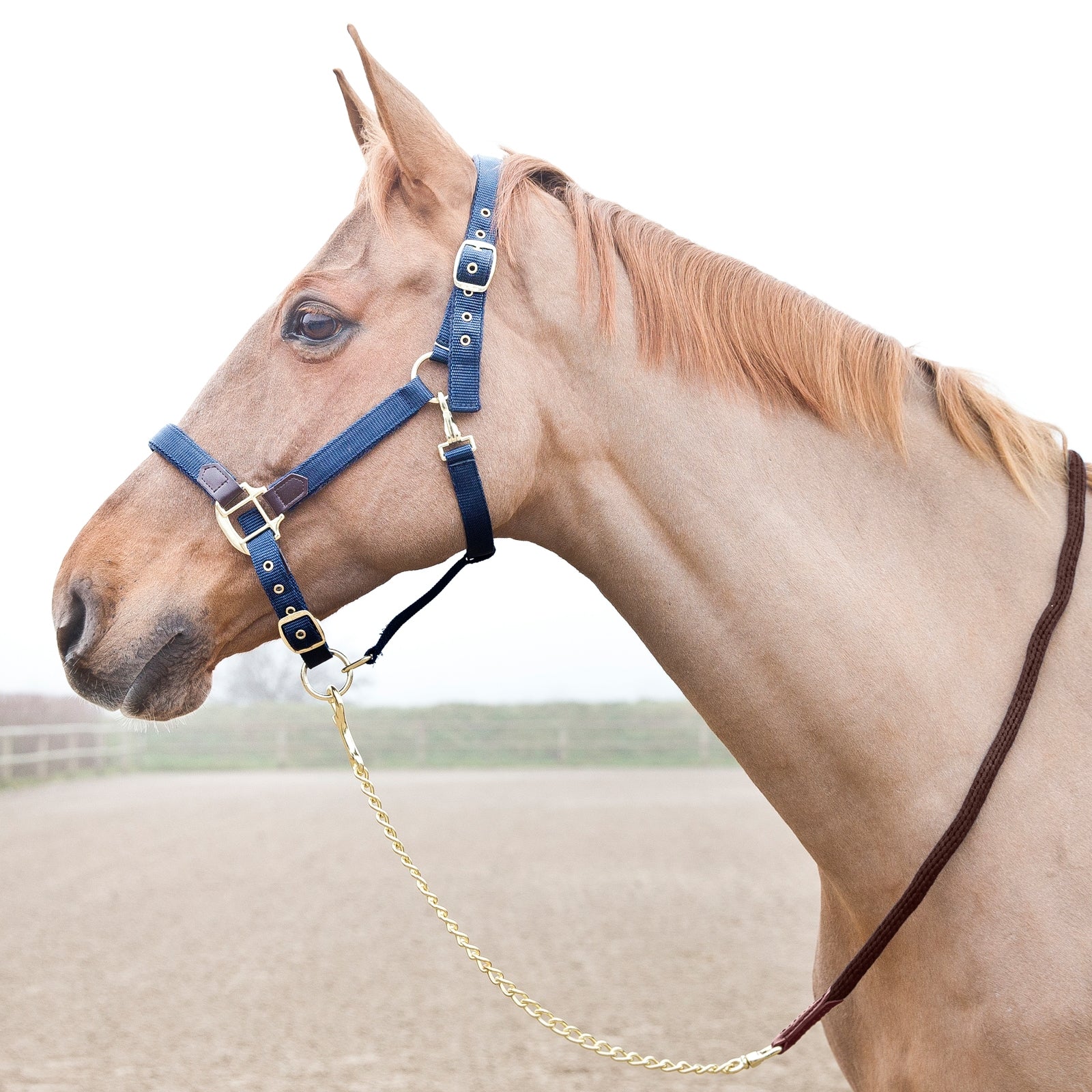 Horze Holbrook Chain Lead Halters & Leads