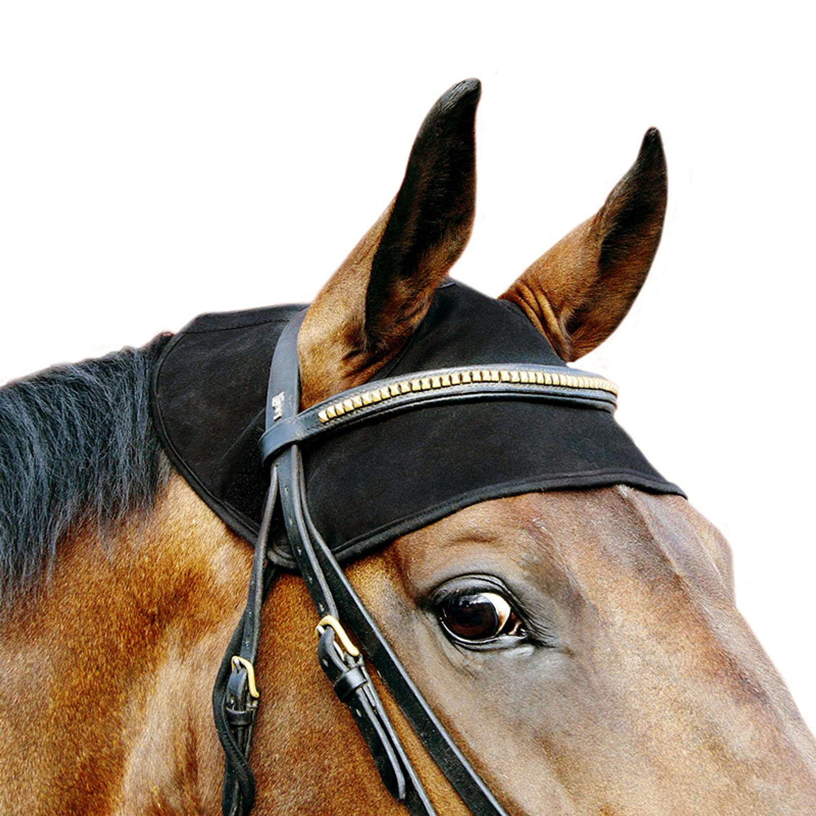 Back on Track Horse Neck Cap Antifly Protection for Horses