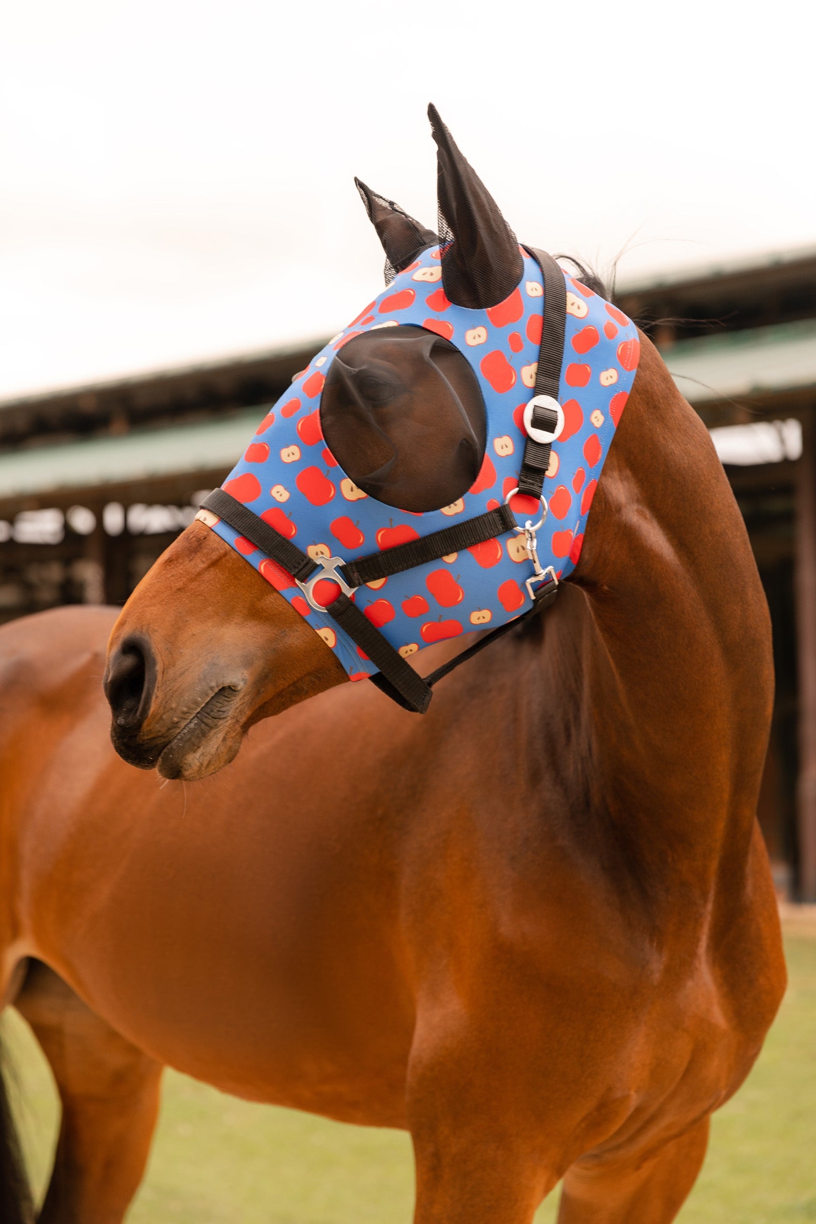 Horze Elastic Pull-On Fly Mask Antifly Protection for Horses