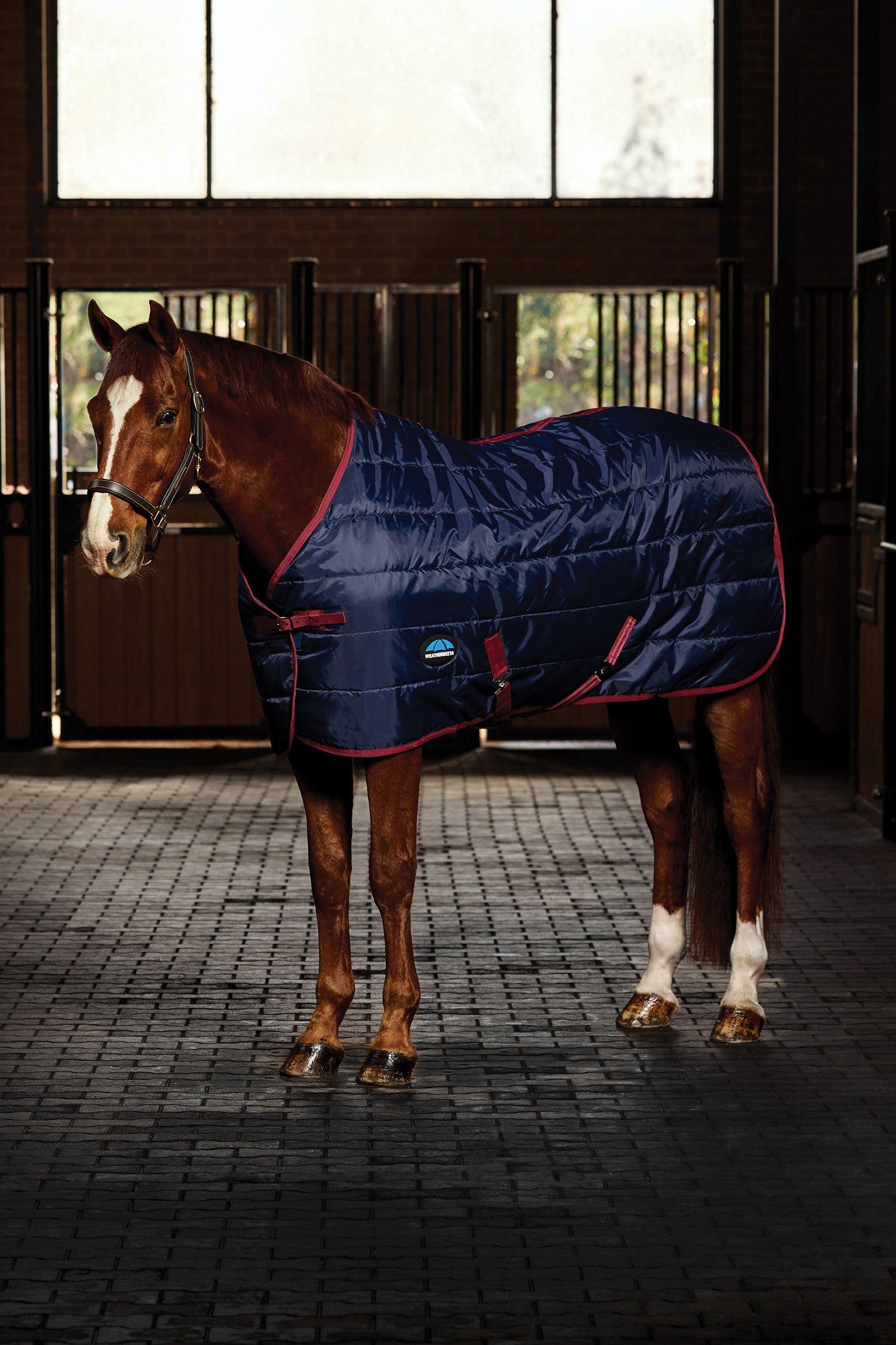 Weatherbeeta ComFiTec 210D Channel Quilt Stable Rug Standard Neck 220G Loimet