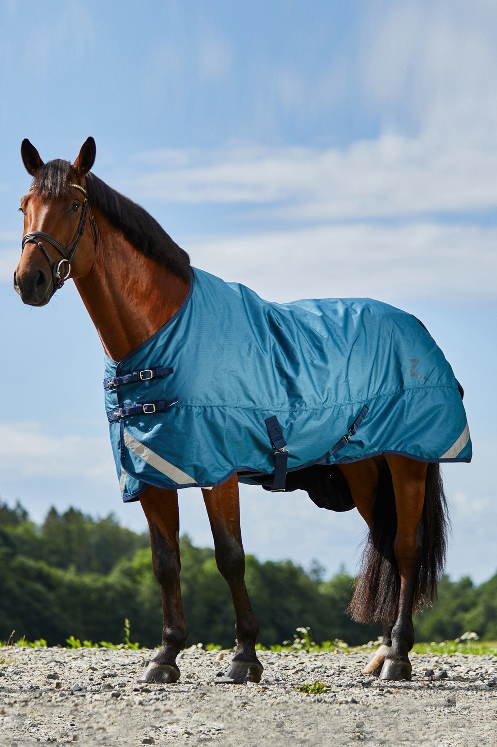 Horze Turin Medium Weight Turnout Rug, 150g Horse Rugs
