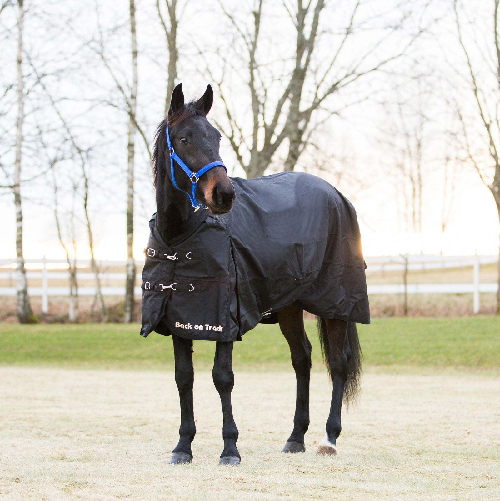 Back on Track Back On Track sadeloimi 1680D Loimet