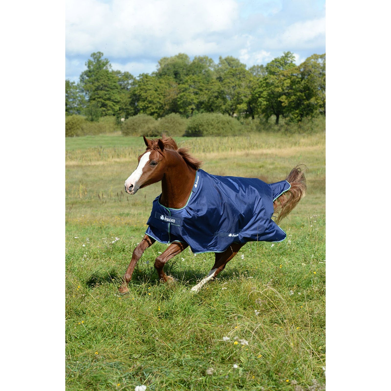 Bucas Smartex Medium Turnout talviloimi Loimet