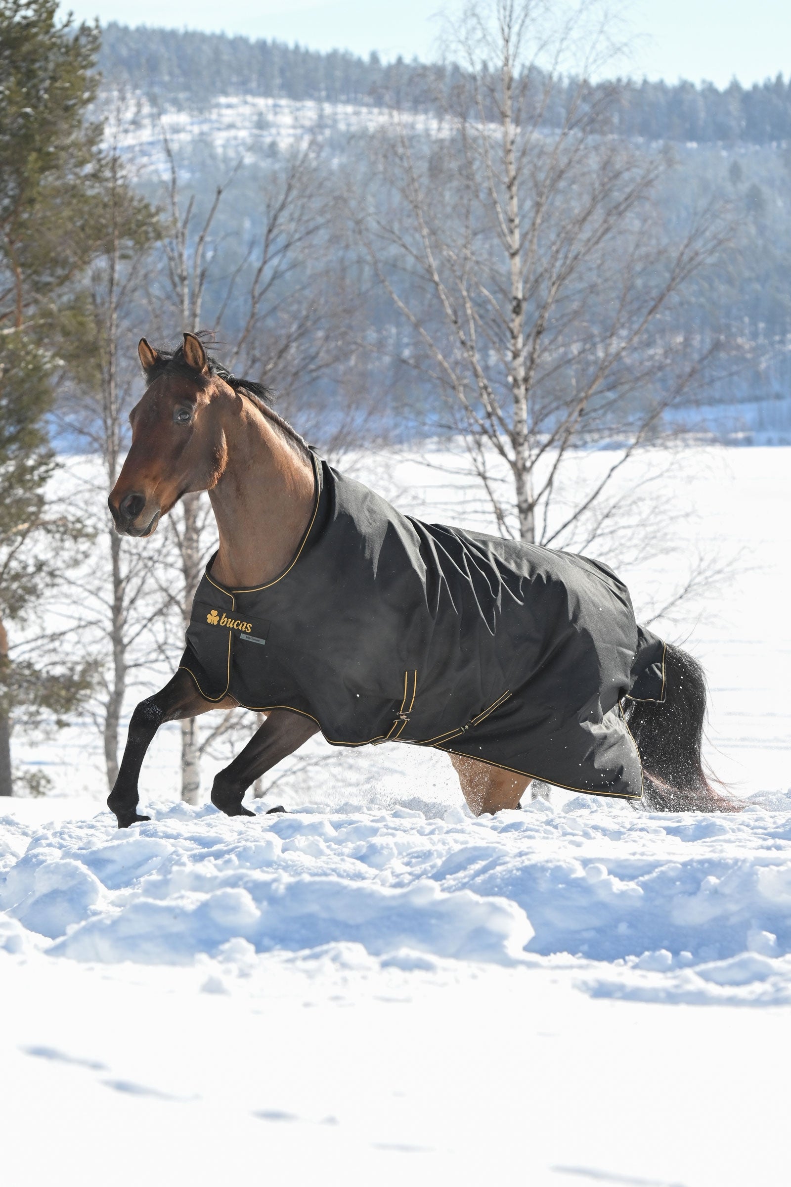 Bucas Irish Turnout Rug, 300g Horse Rugs