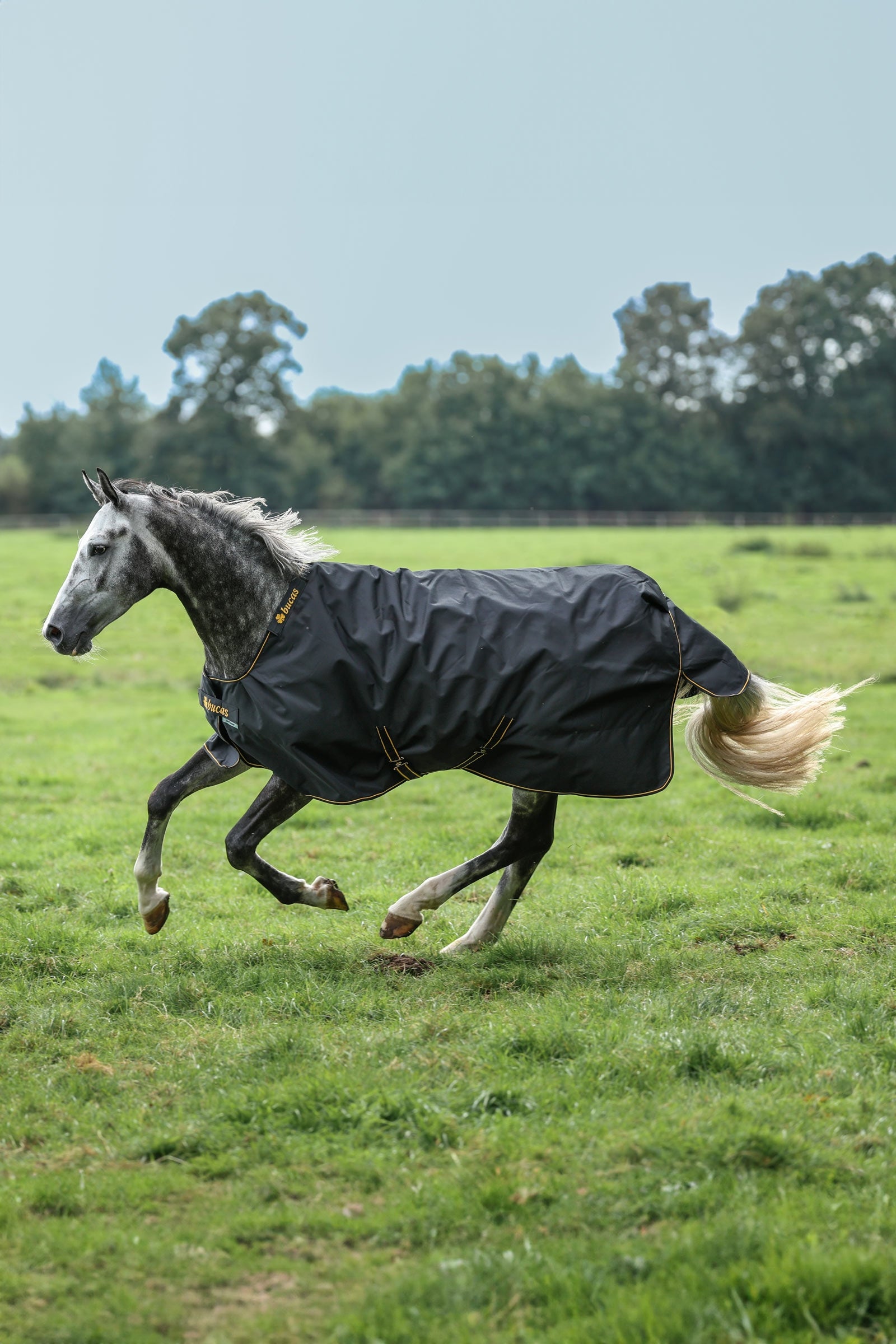 Bucas Irish ulkoloimi, 50g Loimet