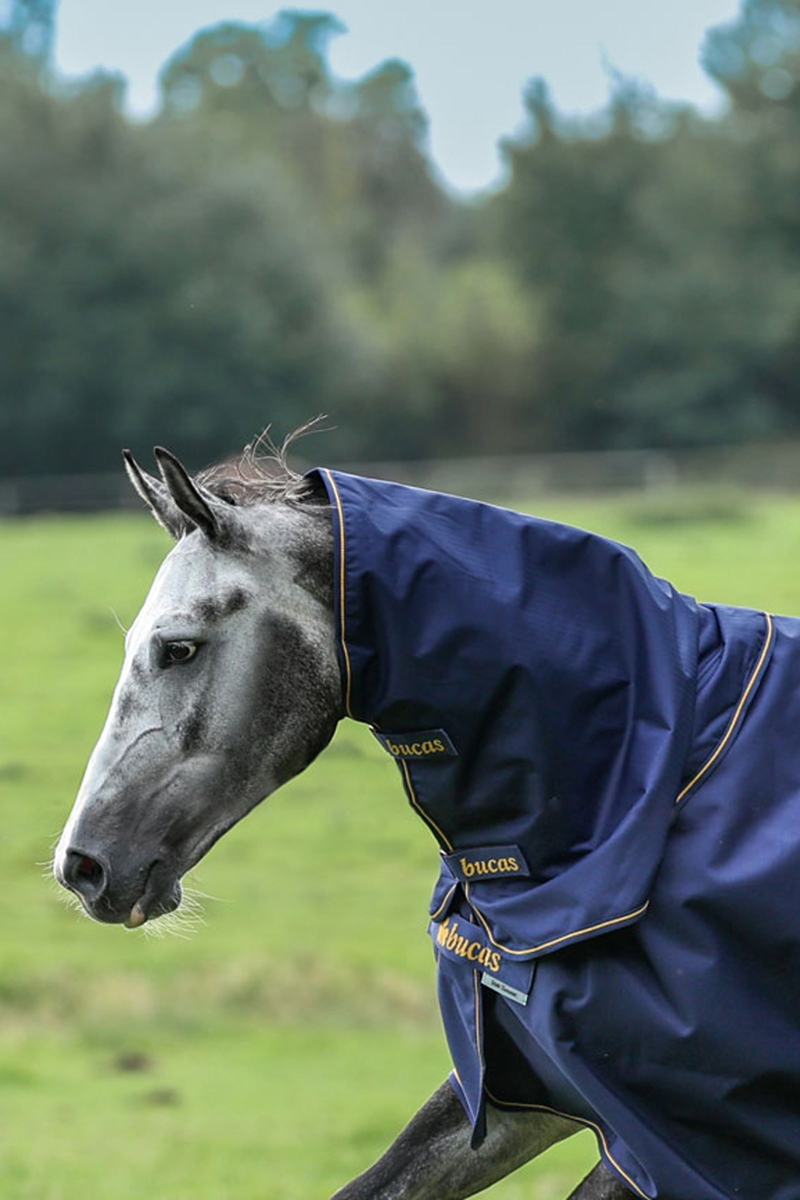 Bucas Irish Turnout kaulakappale, 0g Loimet