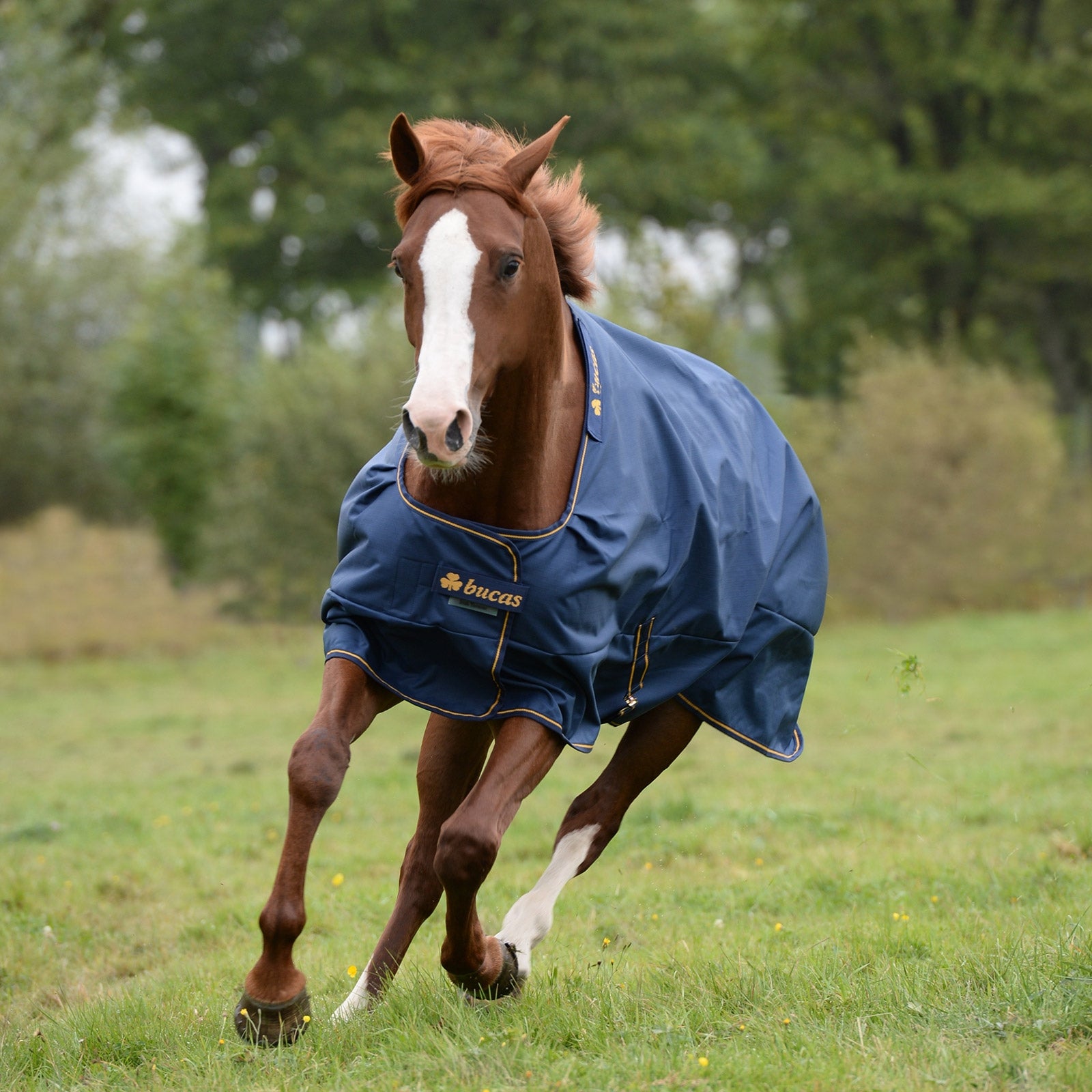 Bucas Irish Turnout Extra Pony Turnout Rug, 300g Horse Rugs