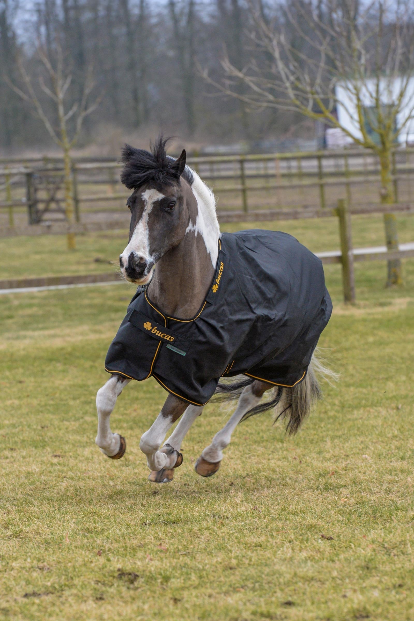 Bucas Irish Pony Turnout Rug, 50g Horse Rugs