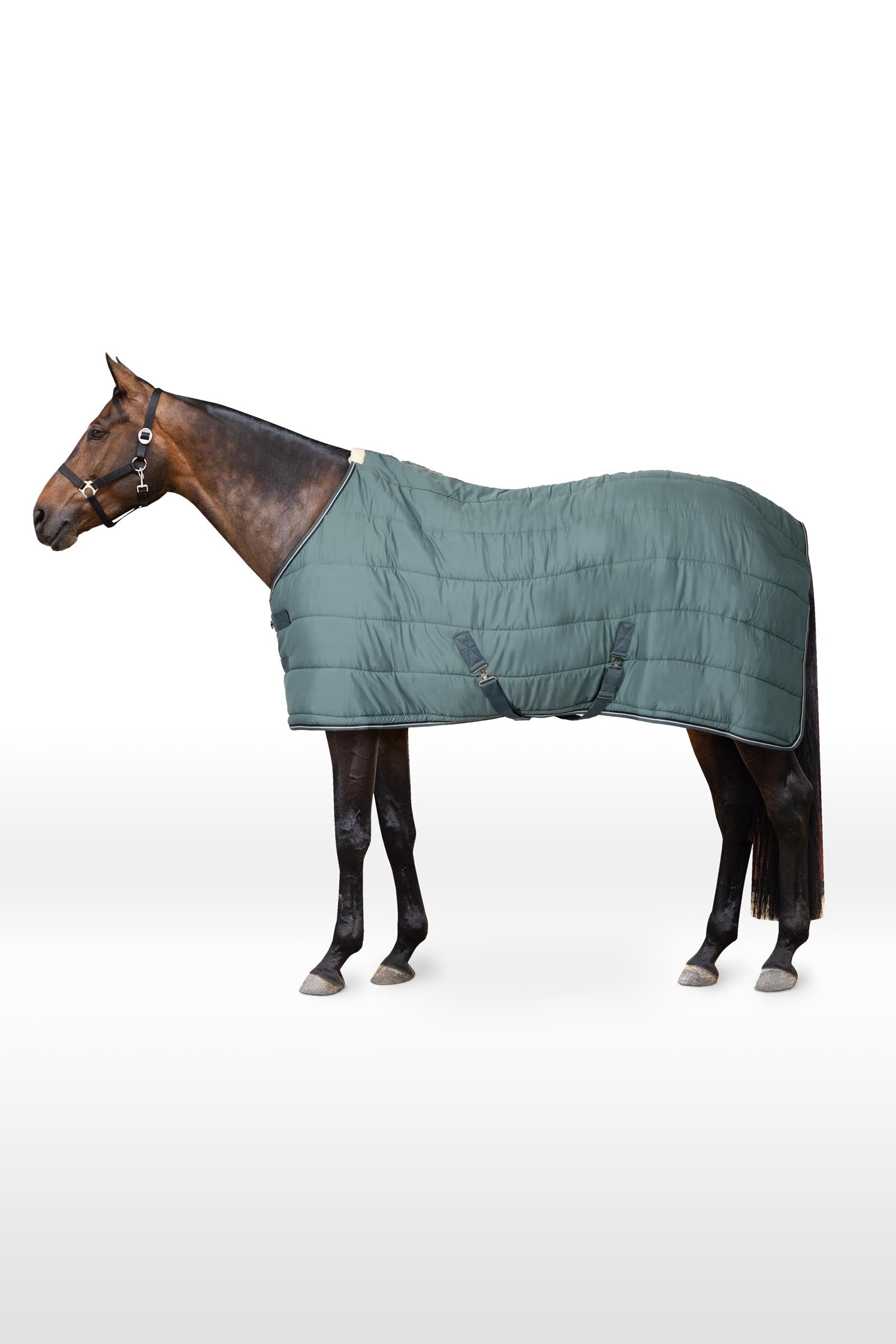 Horze Glasgow Stable Rug / Under Rug, 200g Horse Rugs