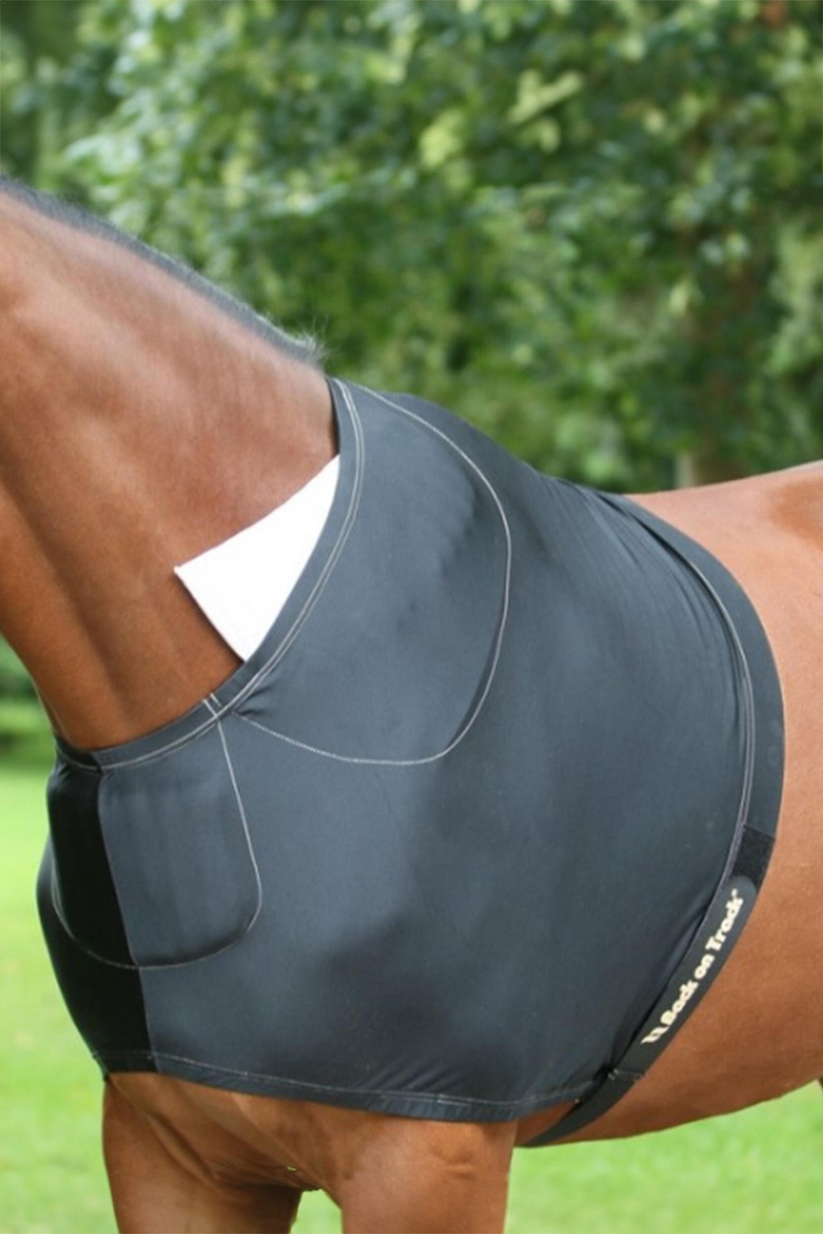 Back on Track lapasuojus Loimet